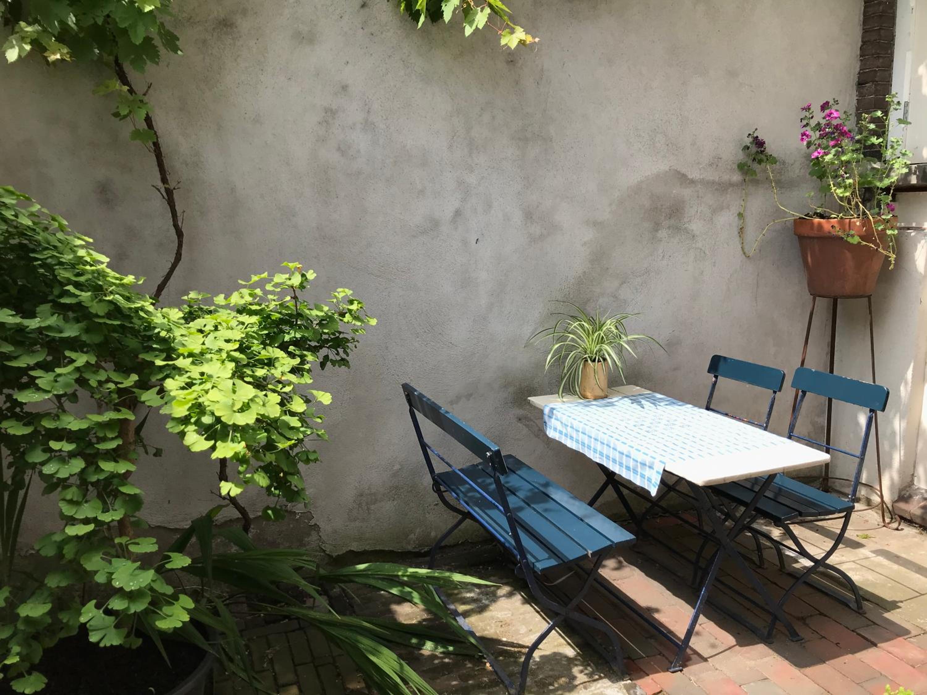 Standard Double or Twin Room with Garden  - Photo 7