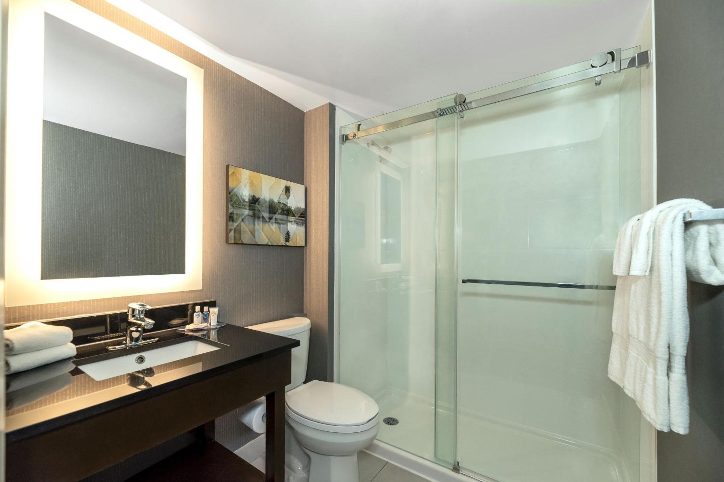 King Room - Non Smoking/Ground Floor-Pet Friendly