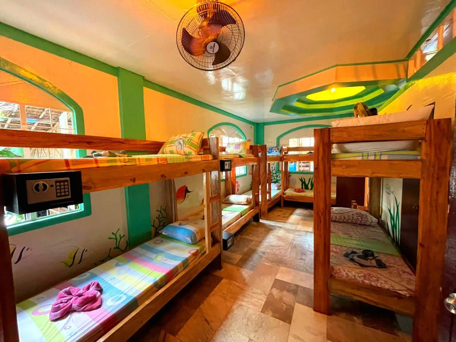Single Bed in Mixed Dormitory Room photo 1