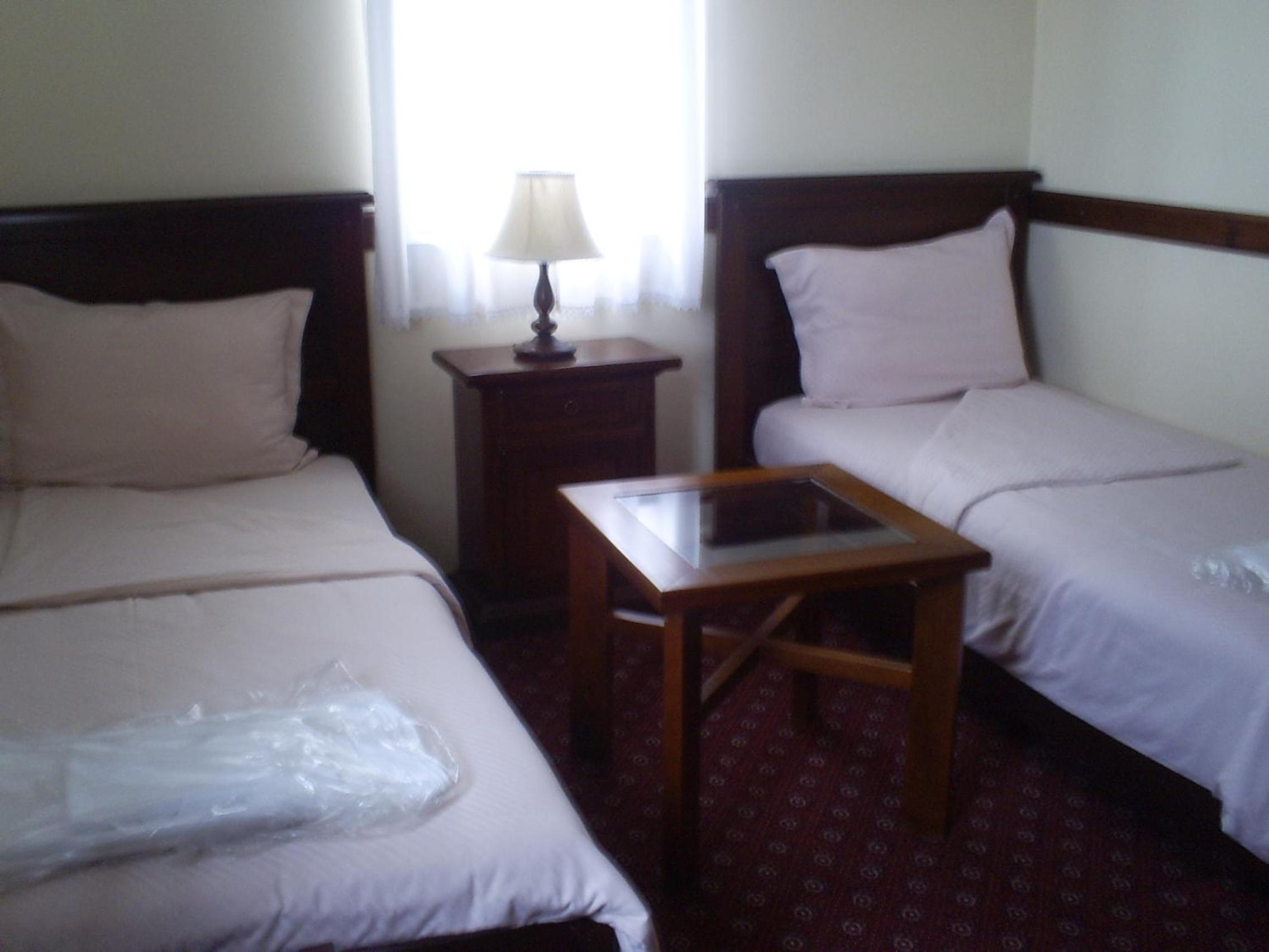Twin Room with Mountain View - Photo 1