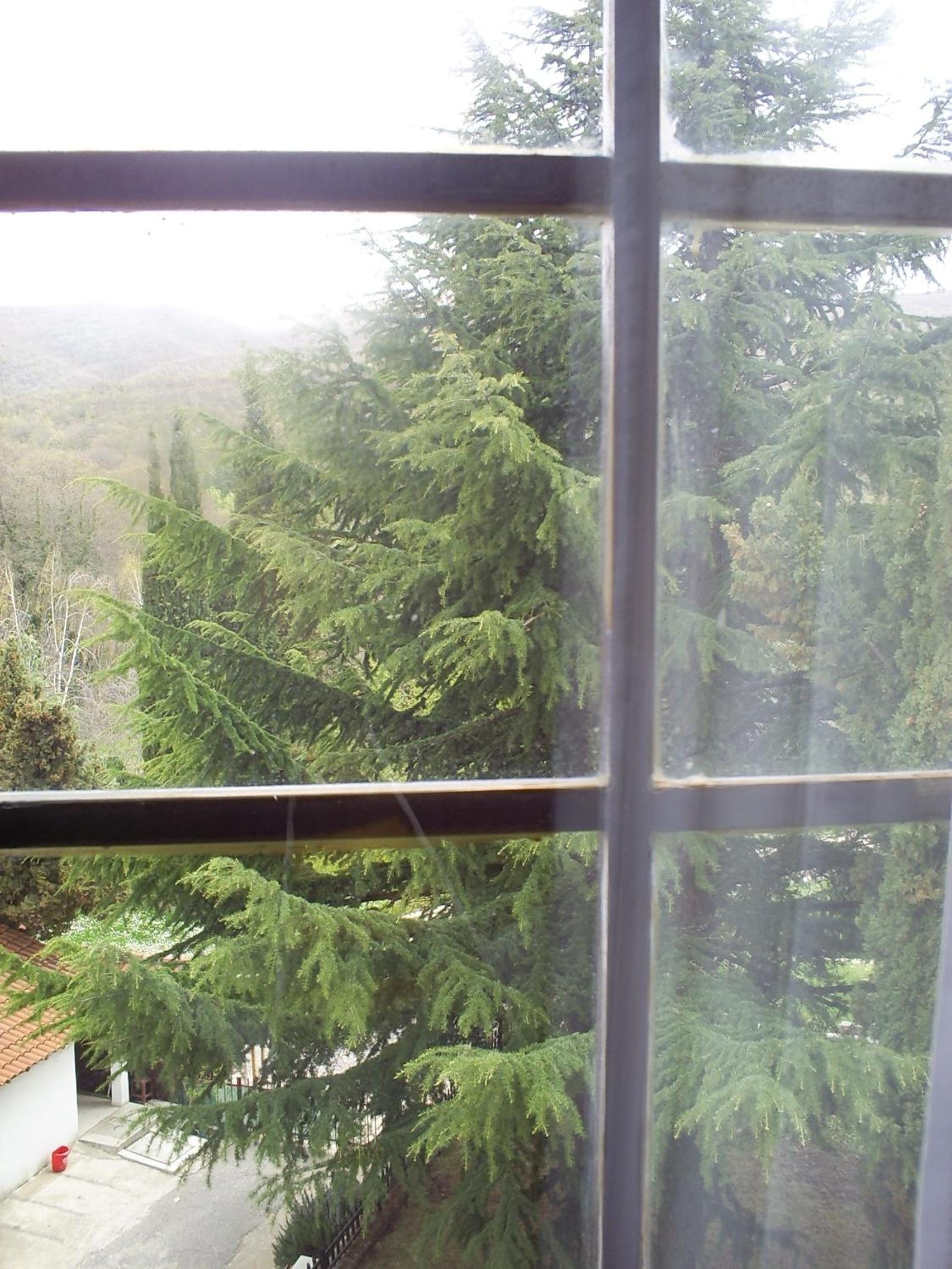 Two-Bedroom Suite with Mountain View - Photo 4