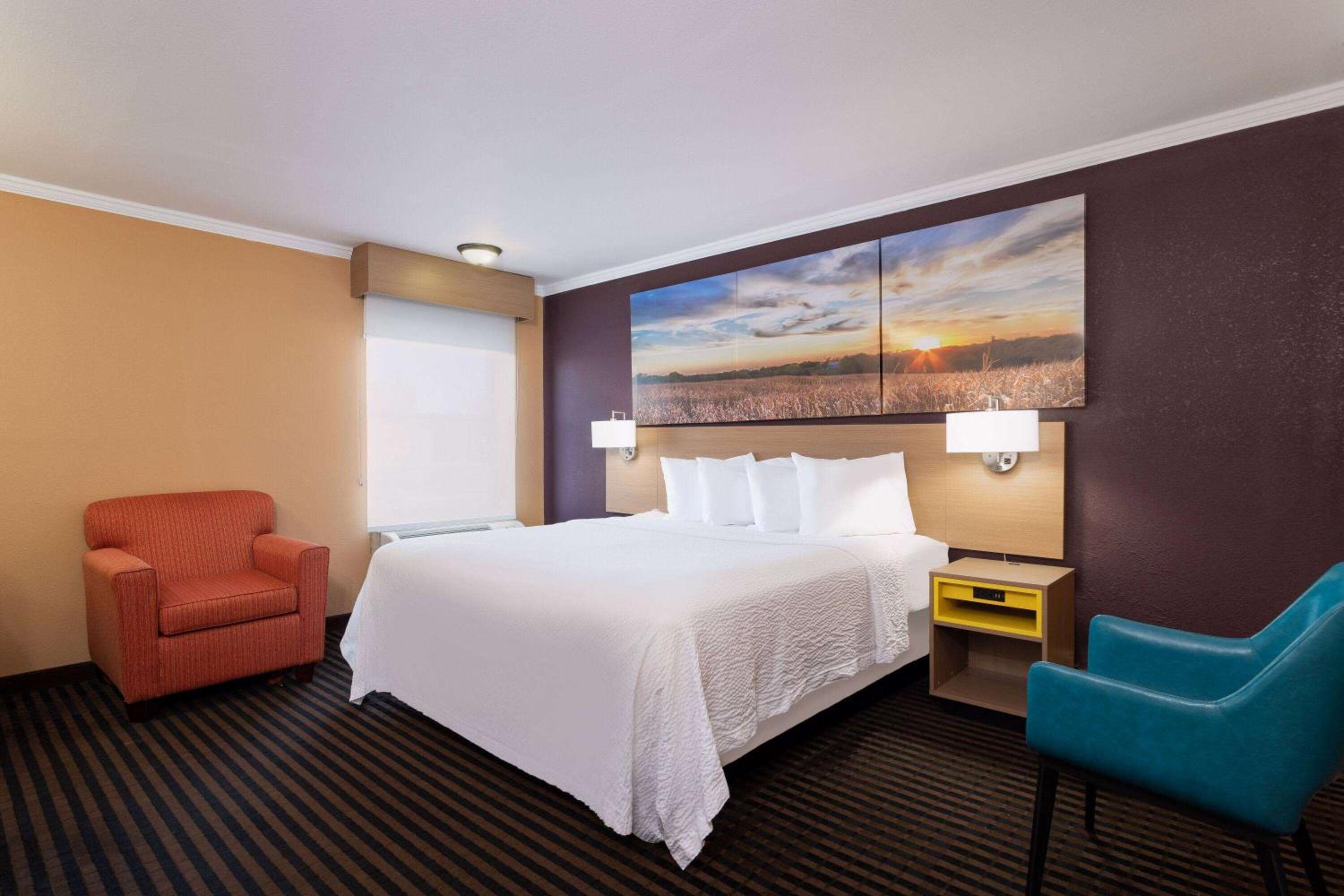 King Room - Non-Smoking photo 1