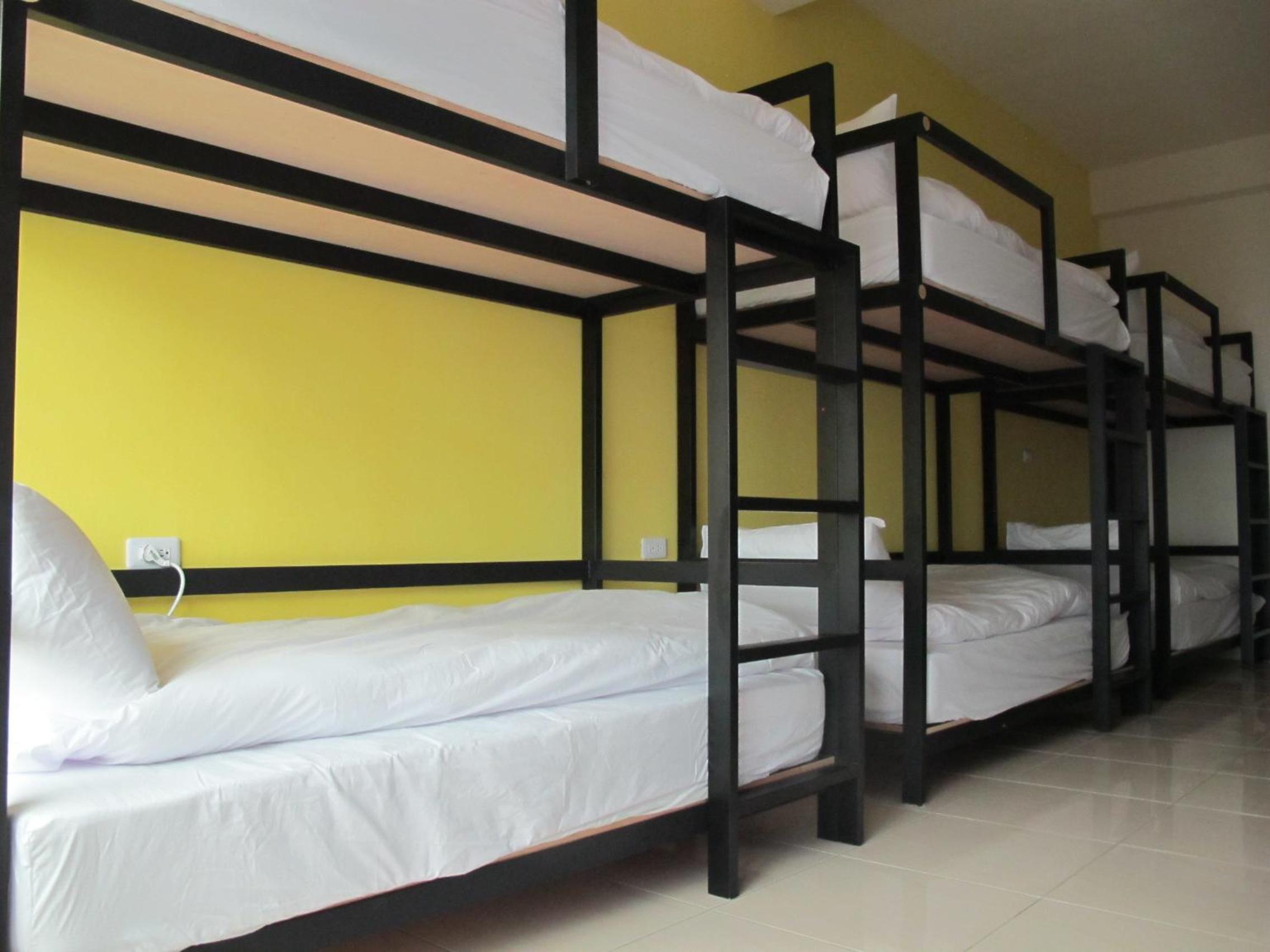 Bunk Bed in Mixed Dormitory Room photo 2