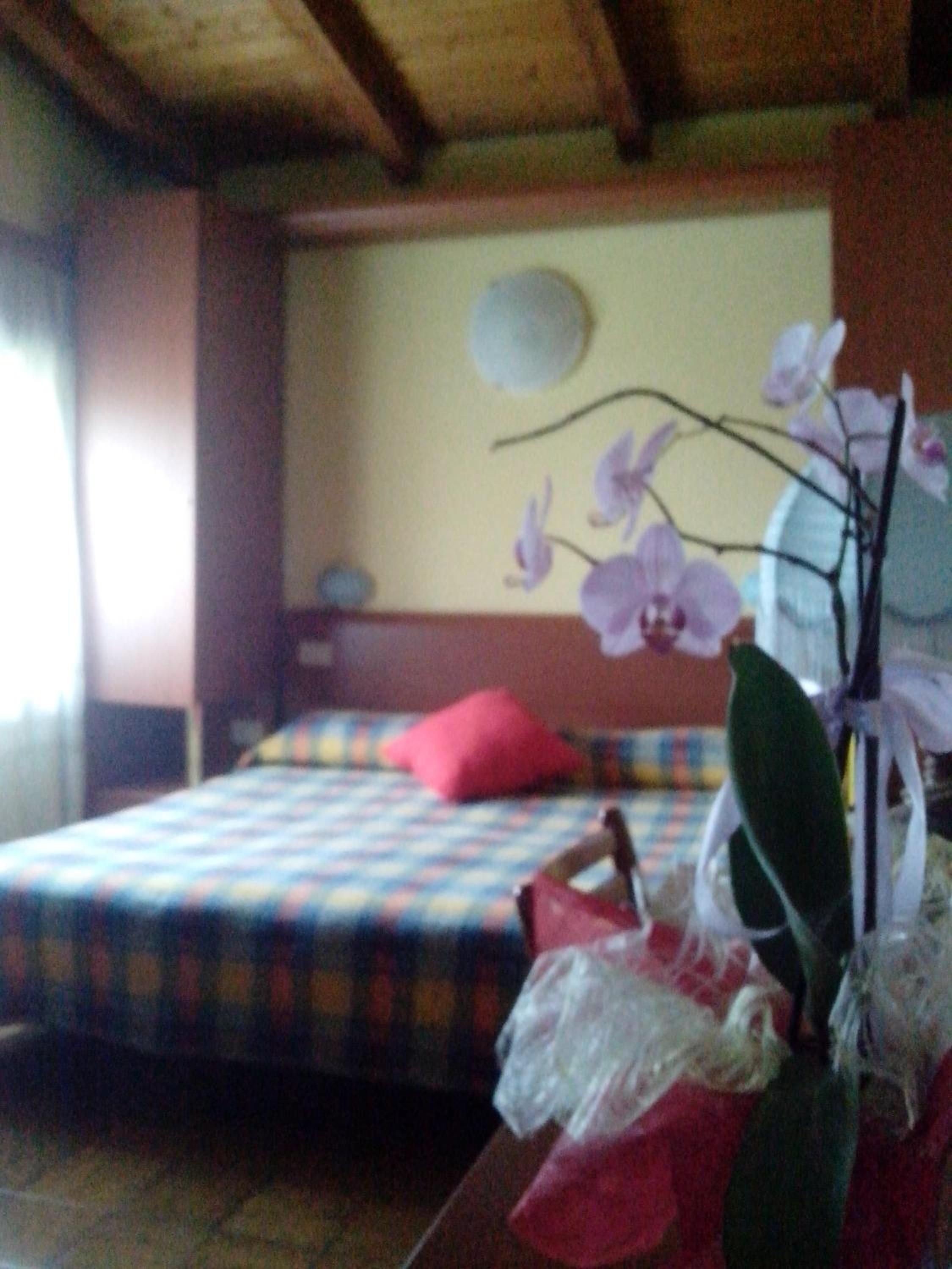 Economy Quadruple Room - Photo 3