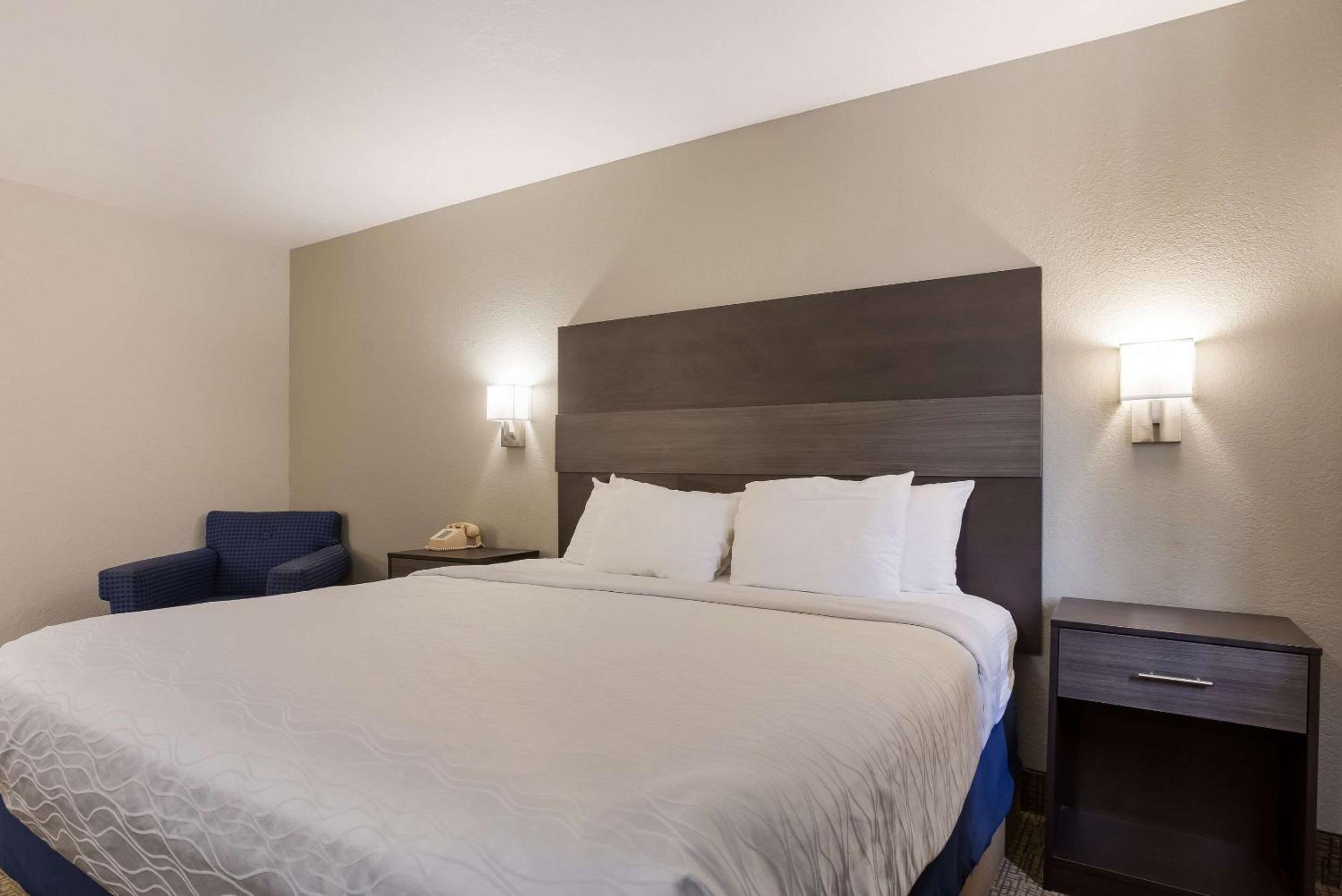 King Room - Non-Smoking/No Pets - Photo 4