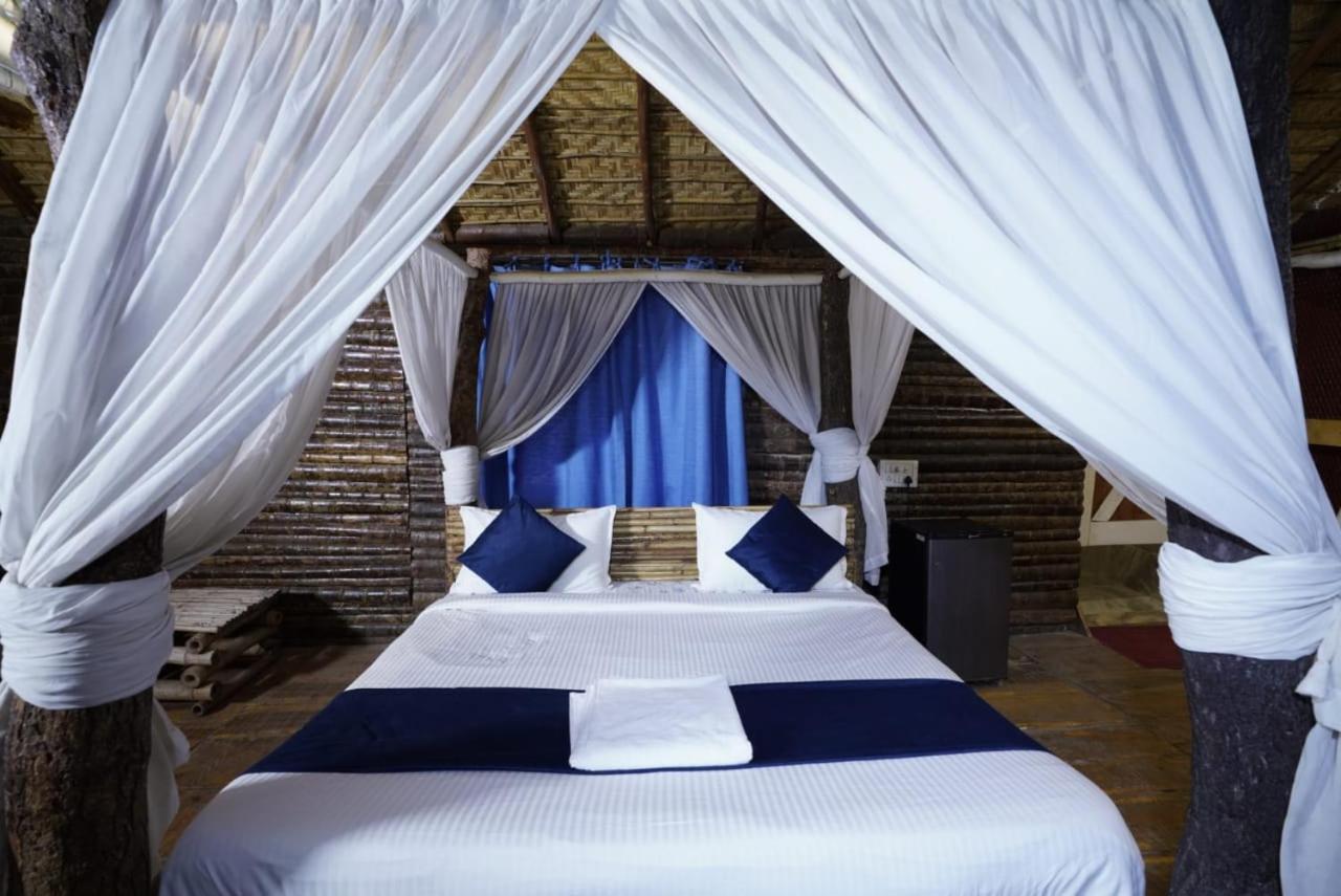 King Room - Photo 1