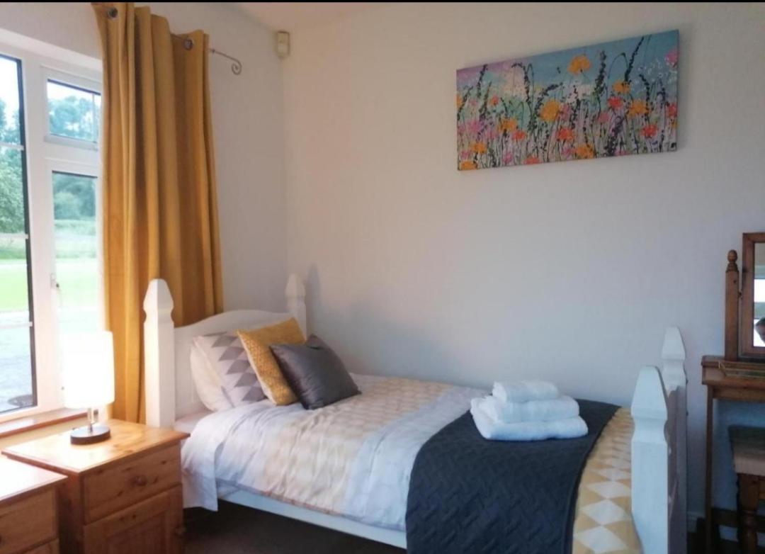Standard Twin Room - Photo 1