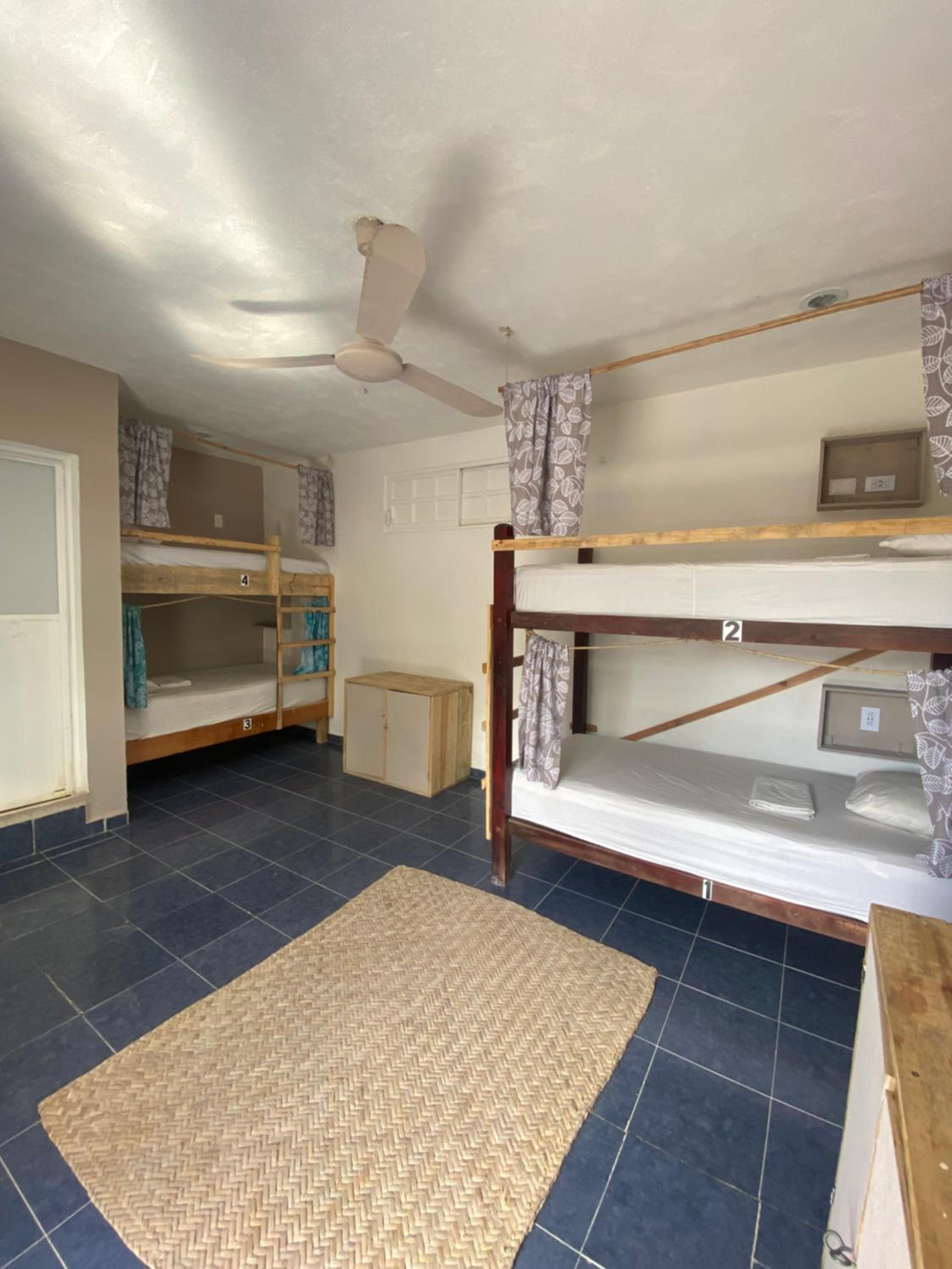 Bunk Bed in Mixed Dormitory Room photo 1