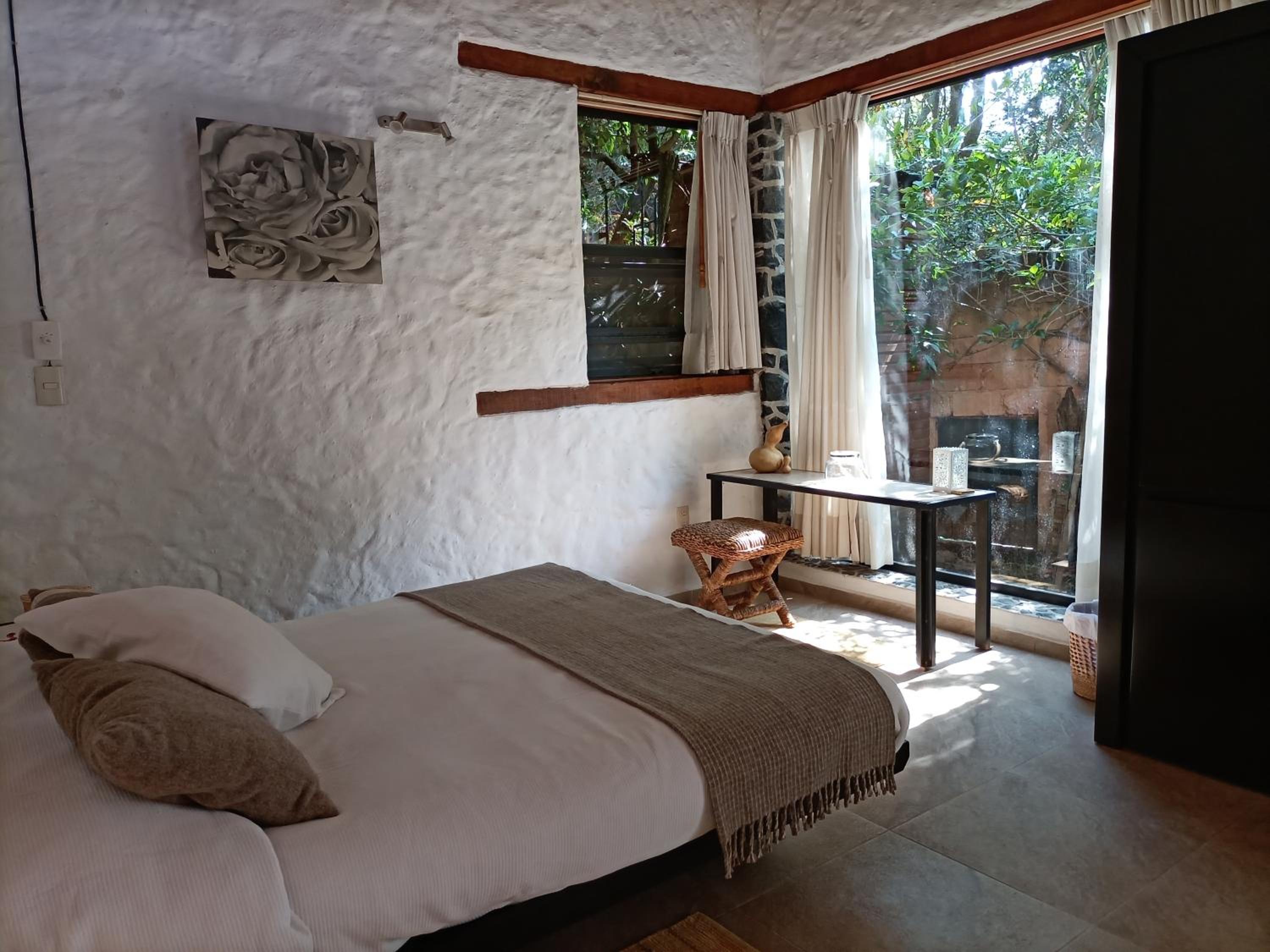 Deluxe Double or Twin Room photo 1