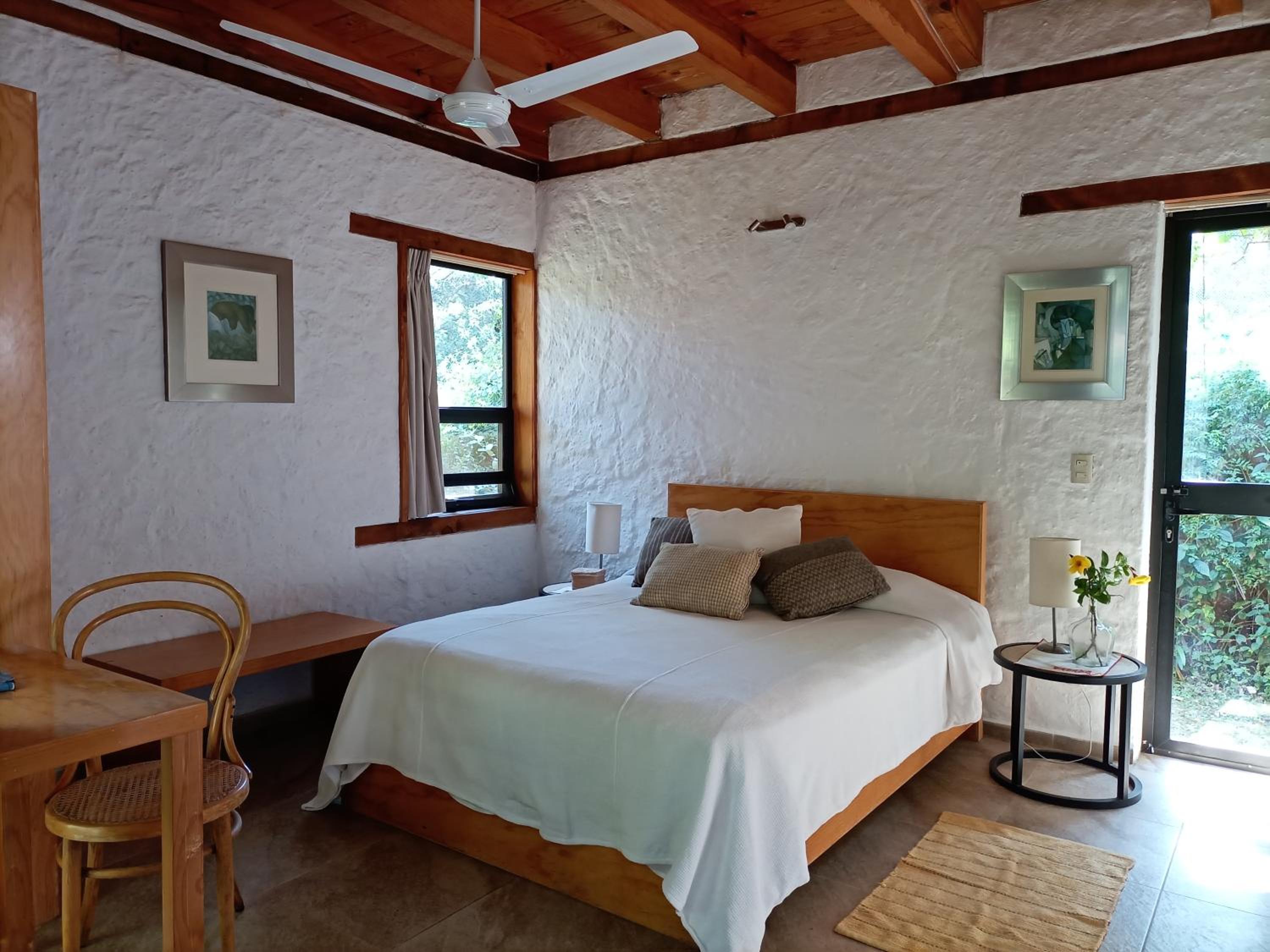 Deluxe Double or Twin Room photo 1