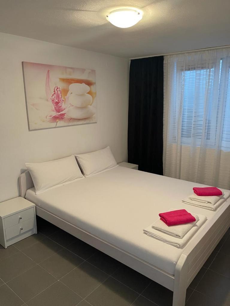 Apartment with Terrace photo 1