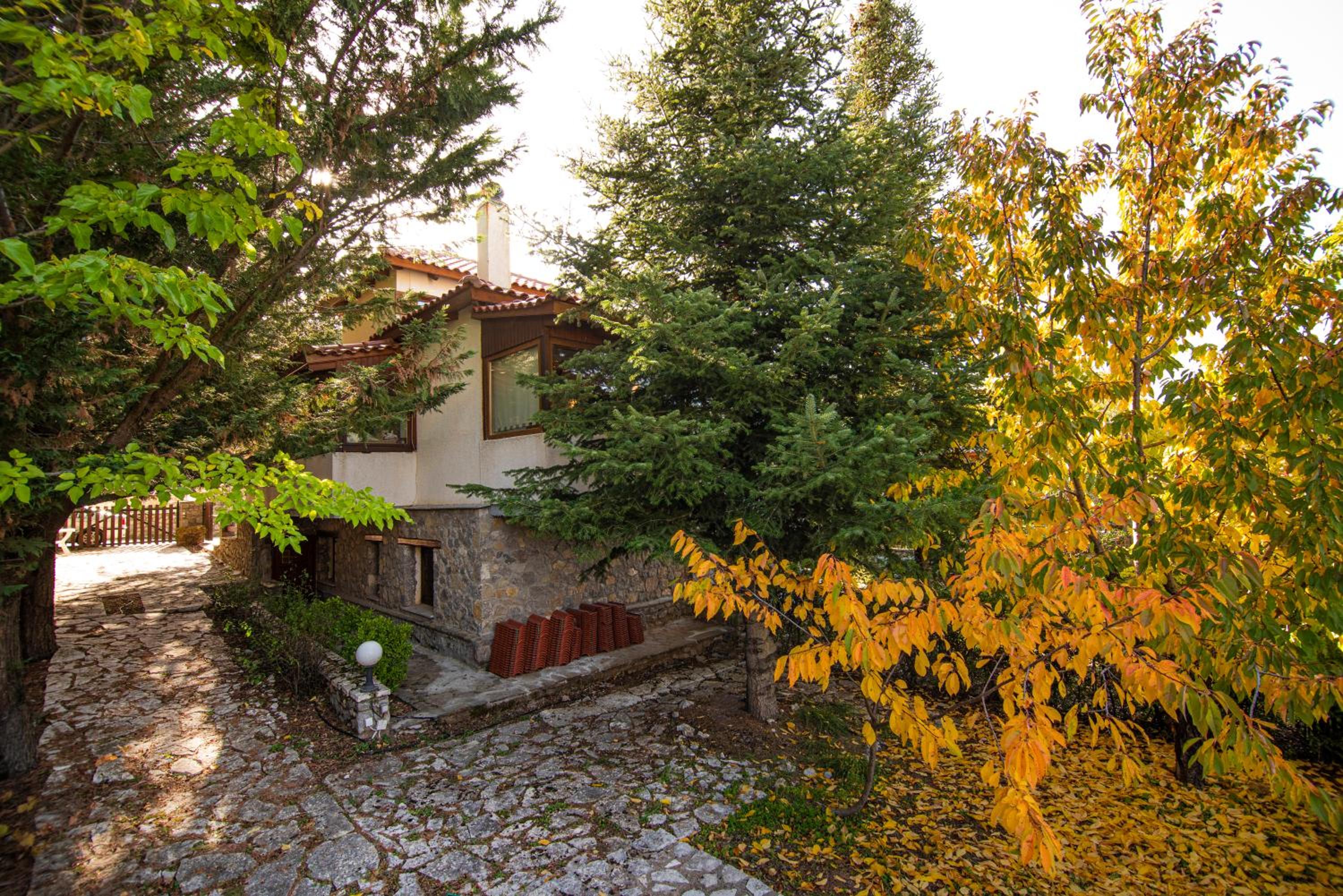 Villa photo 3