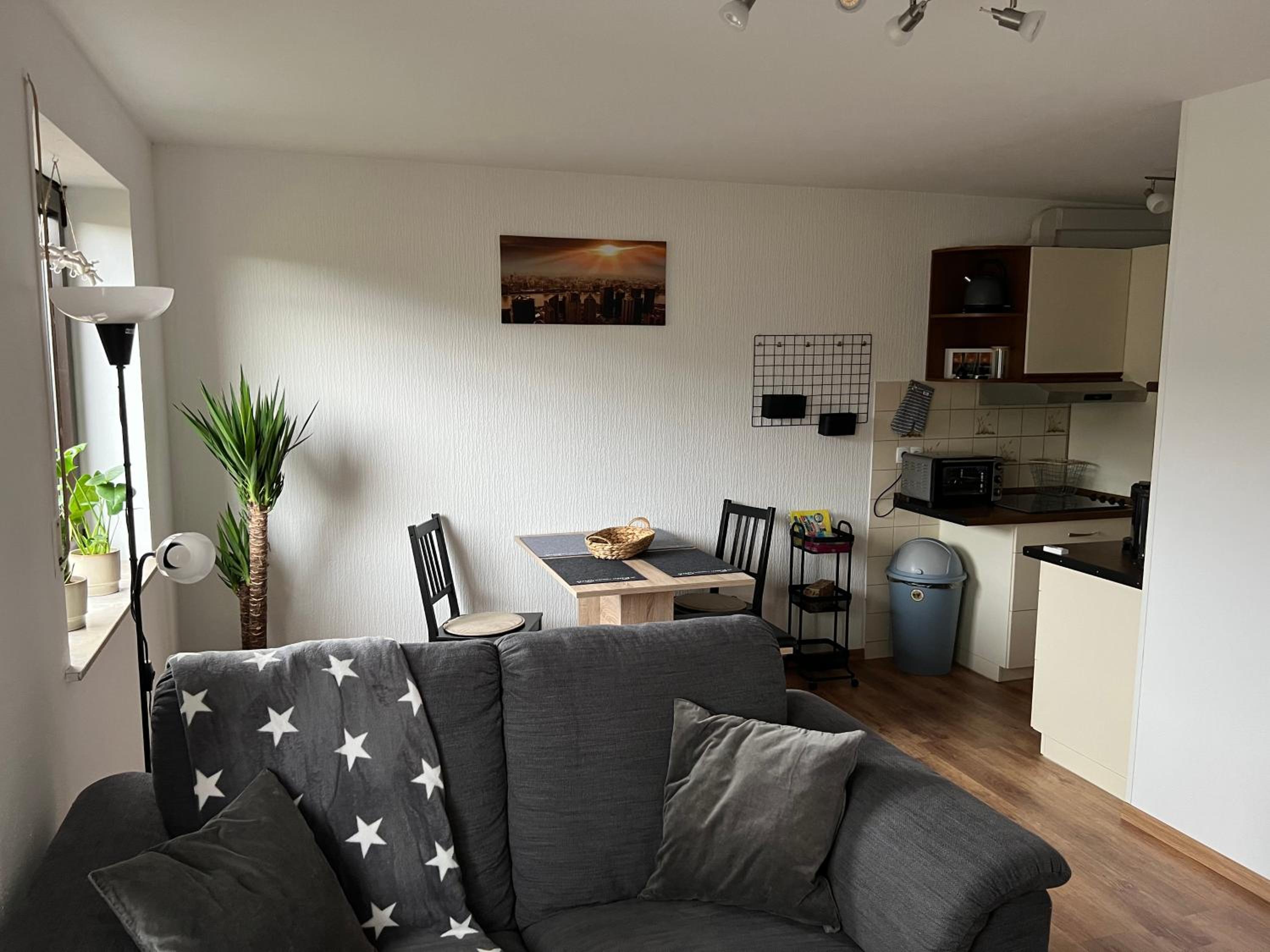 One-Bedroom Apartment photo 2
