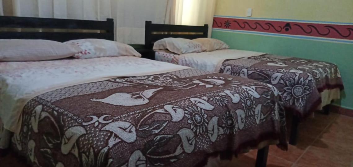 Double or Twin Room - Photo 1