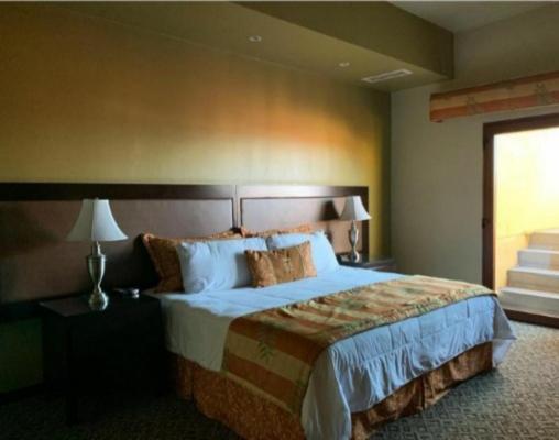 Suite - Photo 1