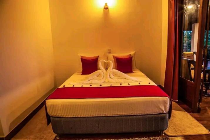 Superior Single Room