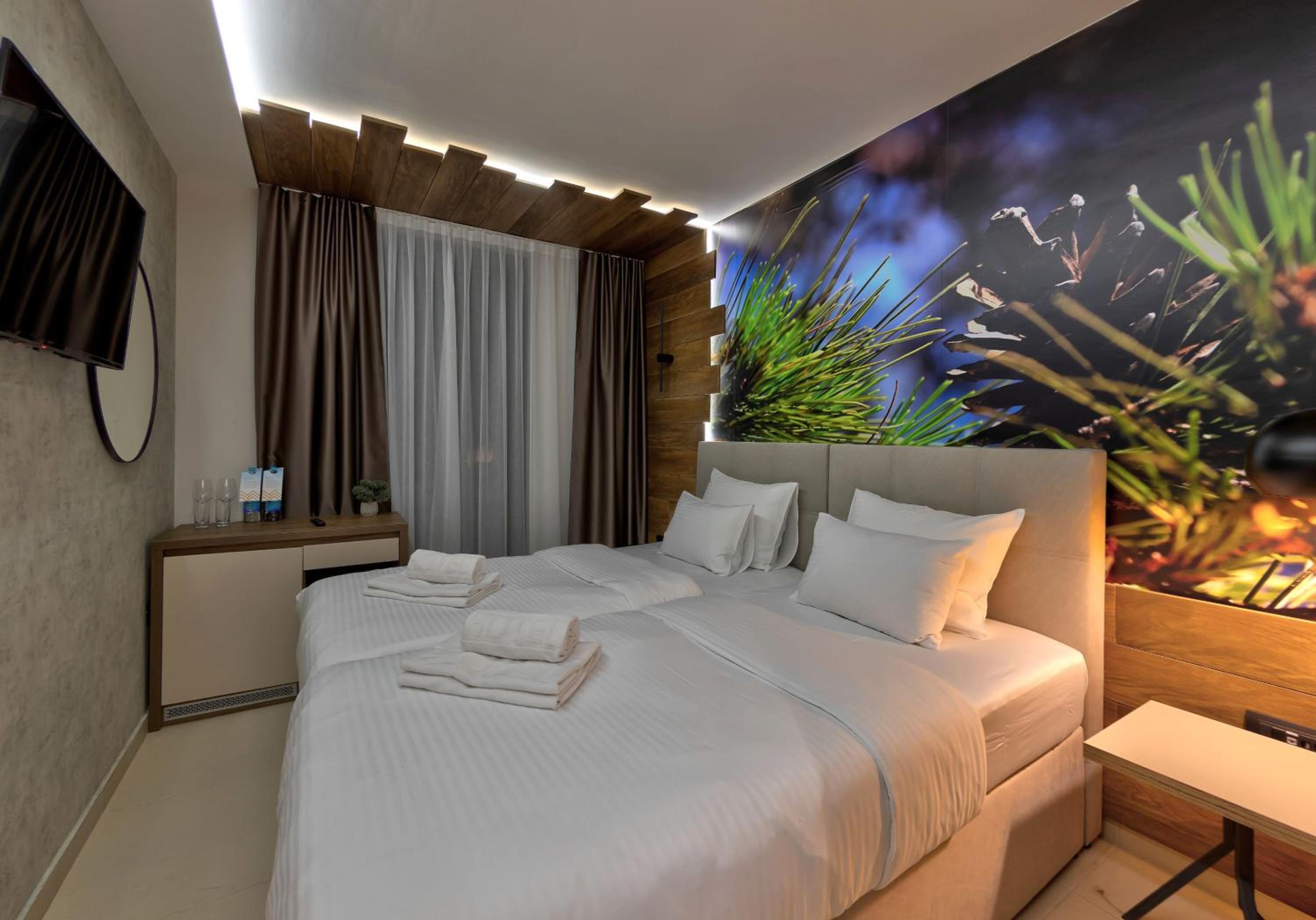 Deluxe Double or Twin Room with Mountain View