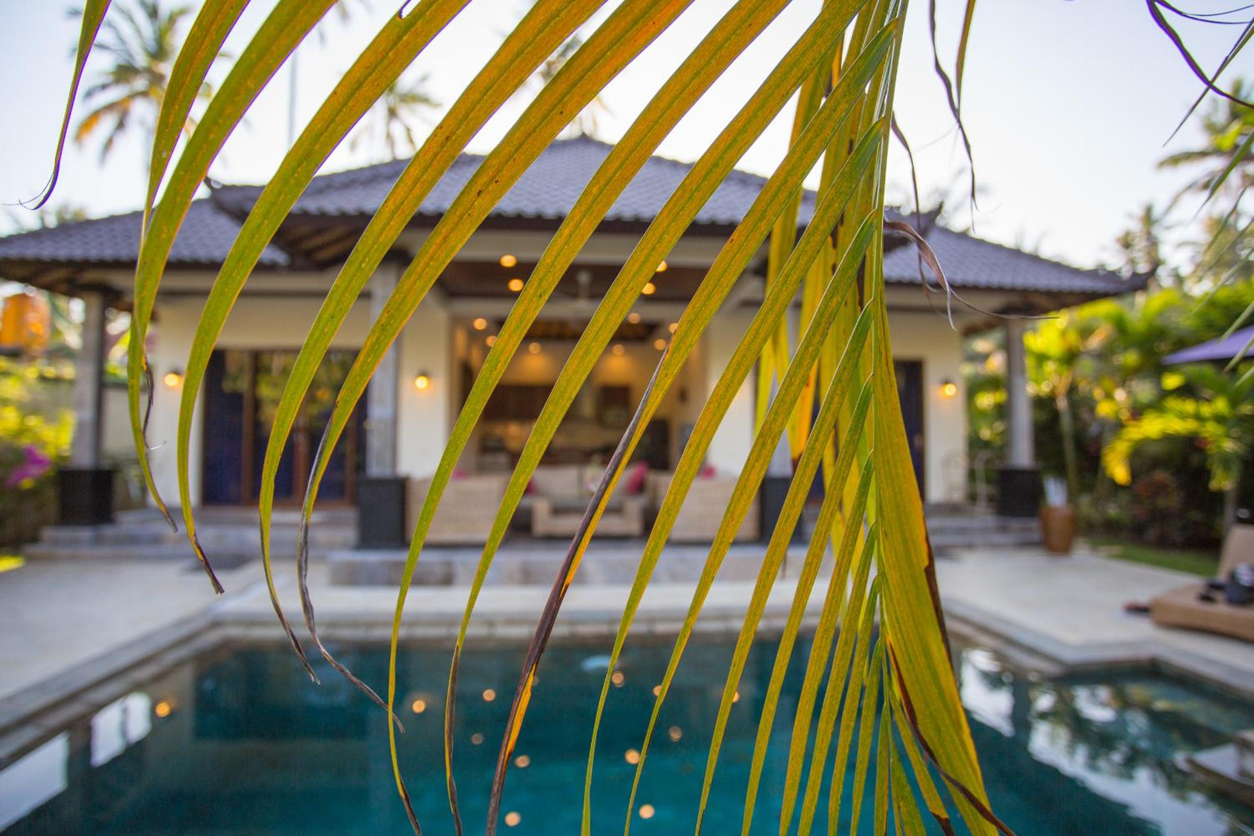 Two-Bedroom Villa with Private Pool photo 3