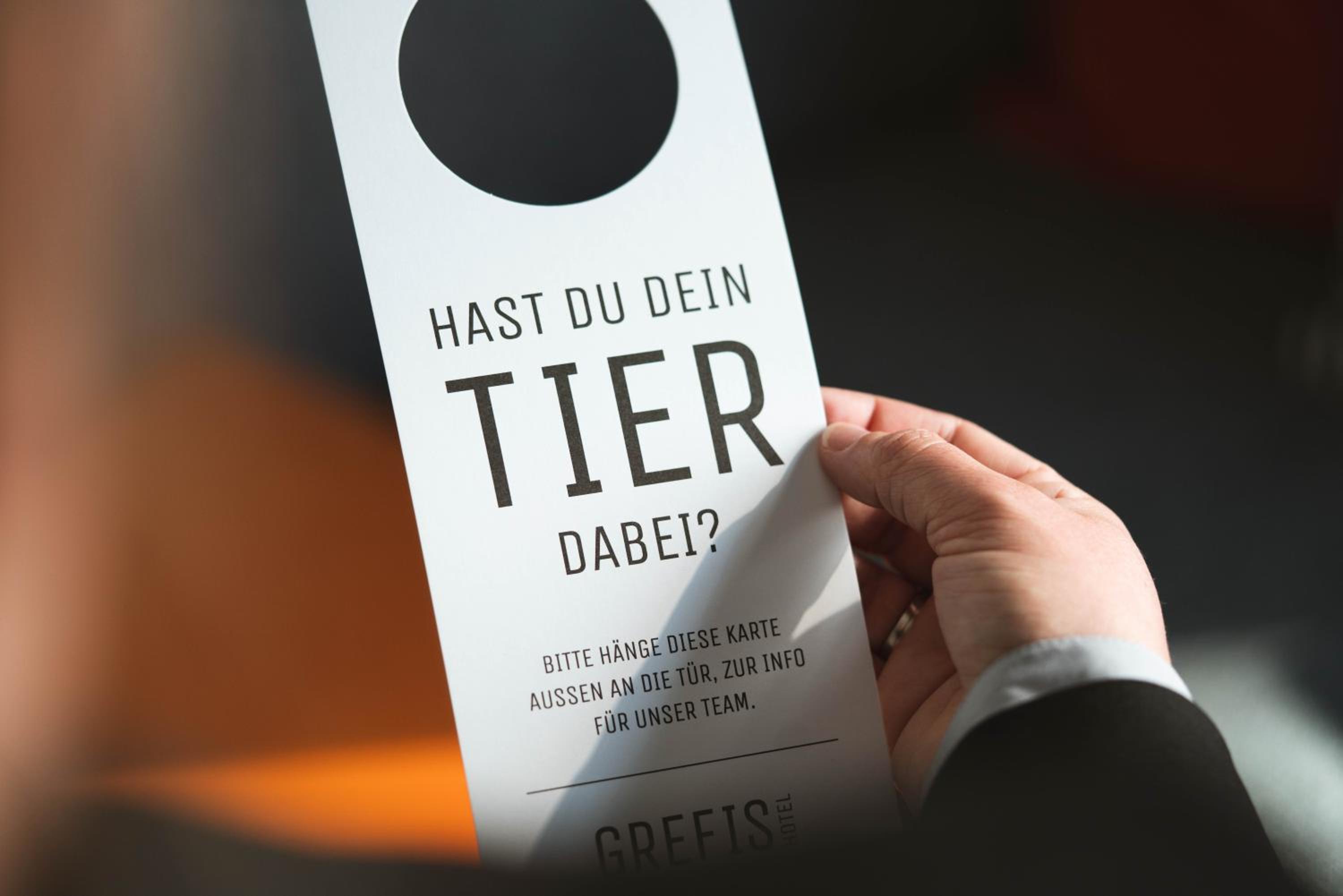 GREFIS-hotel, Foto 13