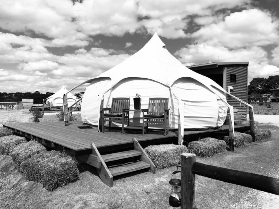 Tent - 2 - Photo 3