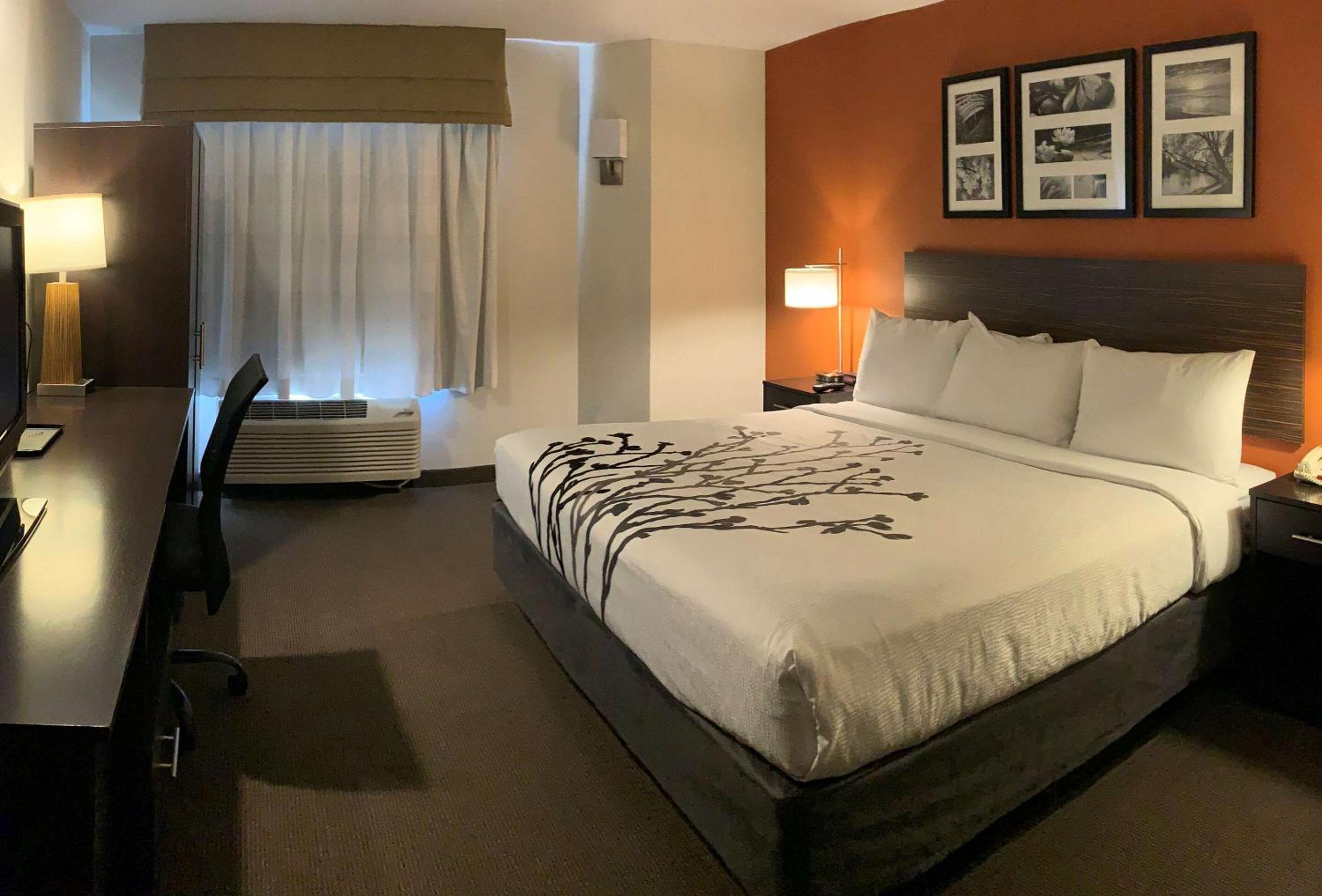 Standard King Room - Non-Smoking  - Photo 3