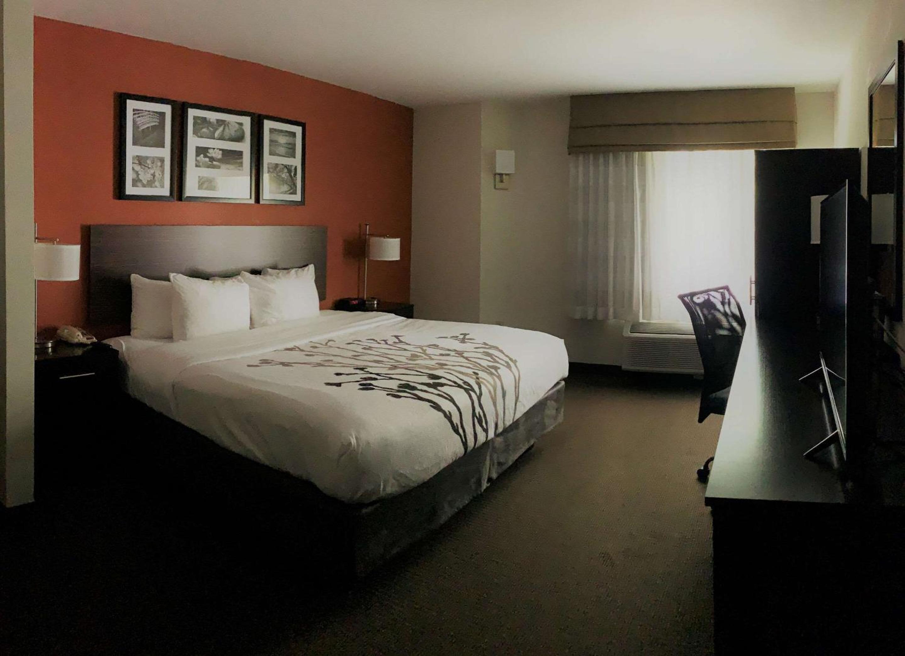 King Room with Roll-In Shower - Accessible/Non-Smoking - Photo 1