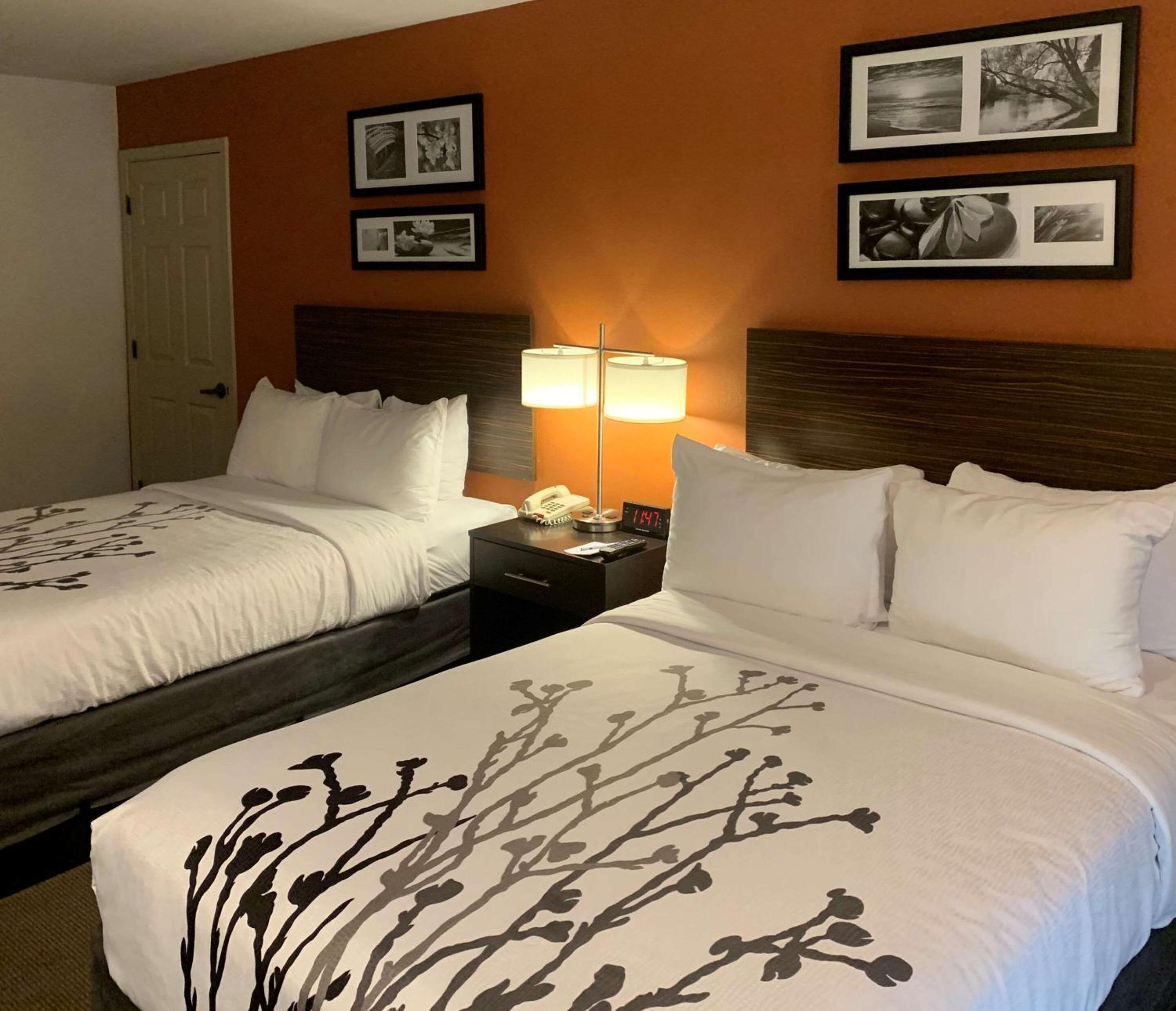 Standard Double Room with Two Double Beds - Non-Smoking - Photo 1