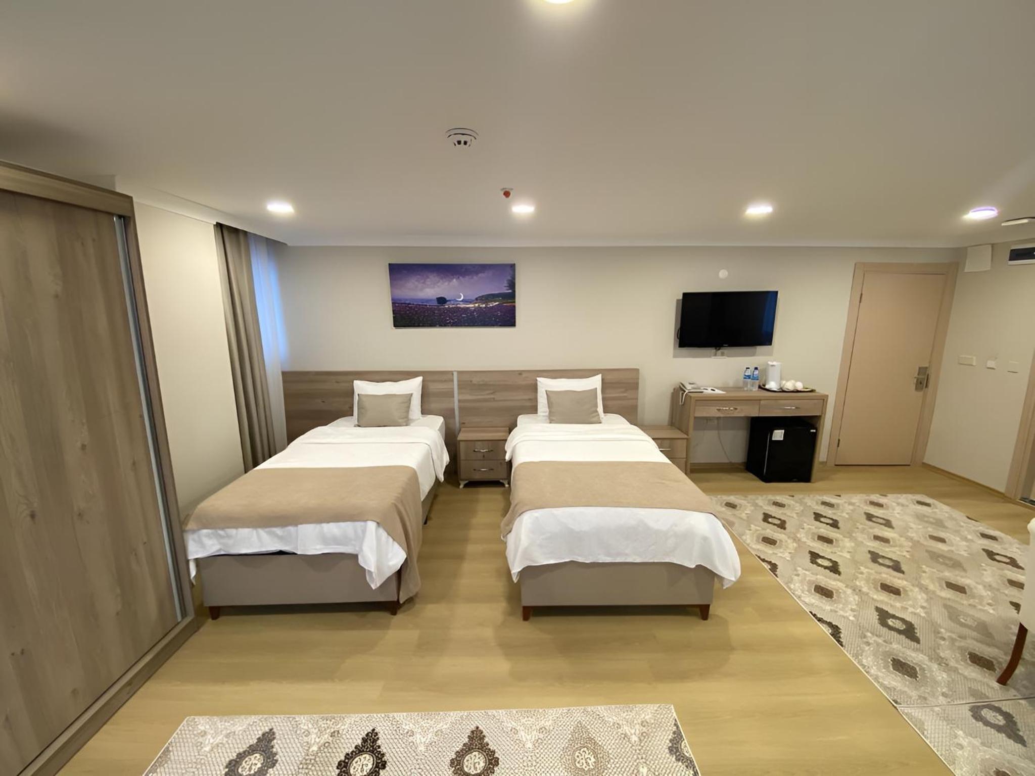 Deluxe Queen Suite - Photo 5