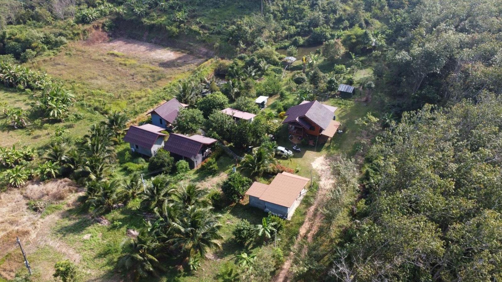 Deluxe Bungalow with Garden View - Photo 11