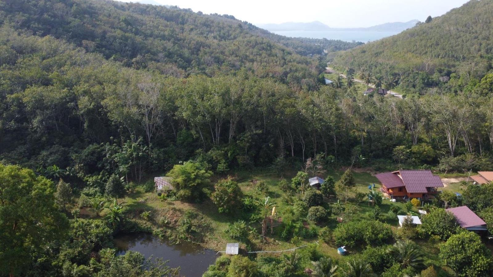 Deluxe Bungalow with Garden View - Photo 10