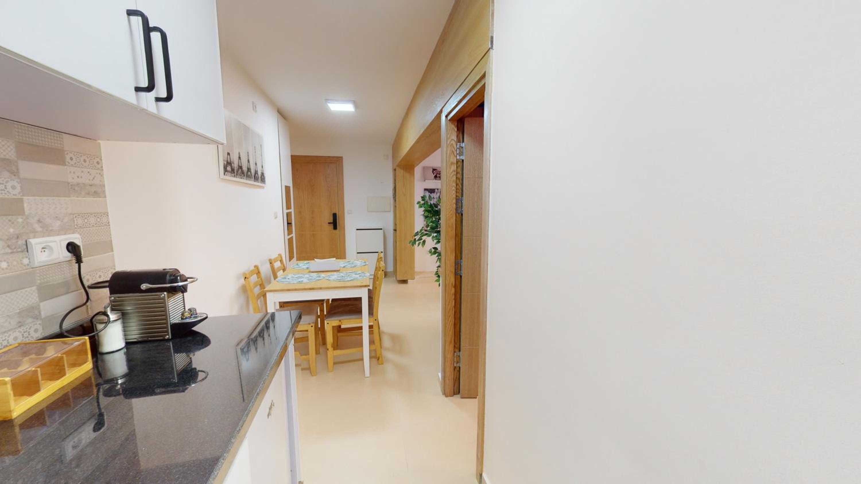 Studio Apartment photo 2
