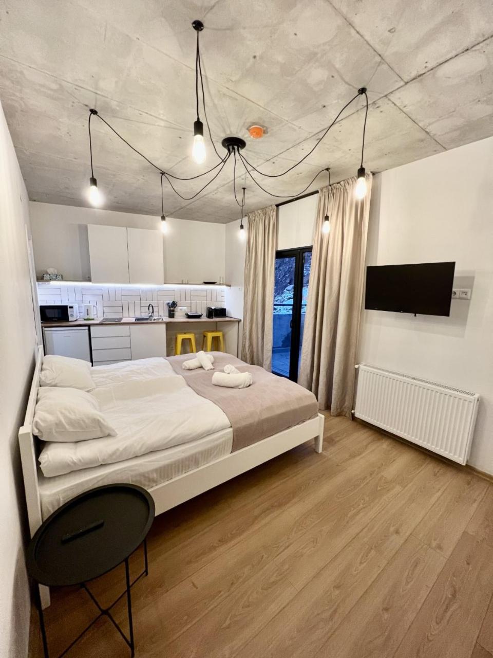 One-Bedroom Apartment photo 3