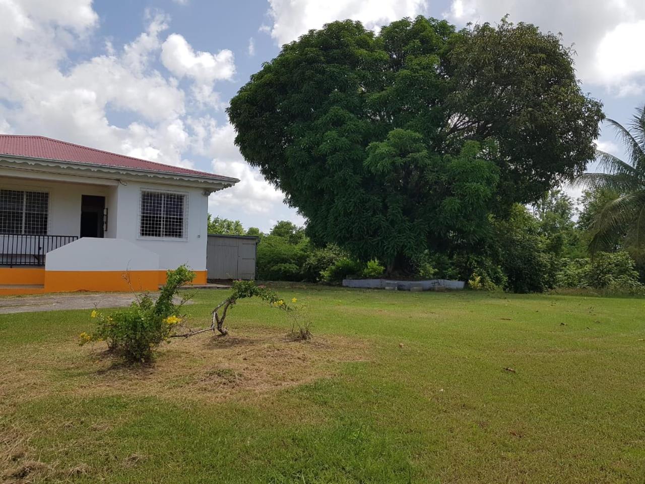 Three-Bedroom House - Photo 13