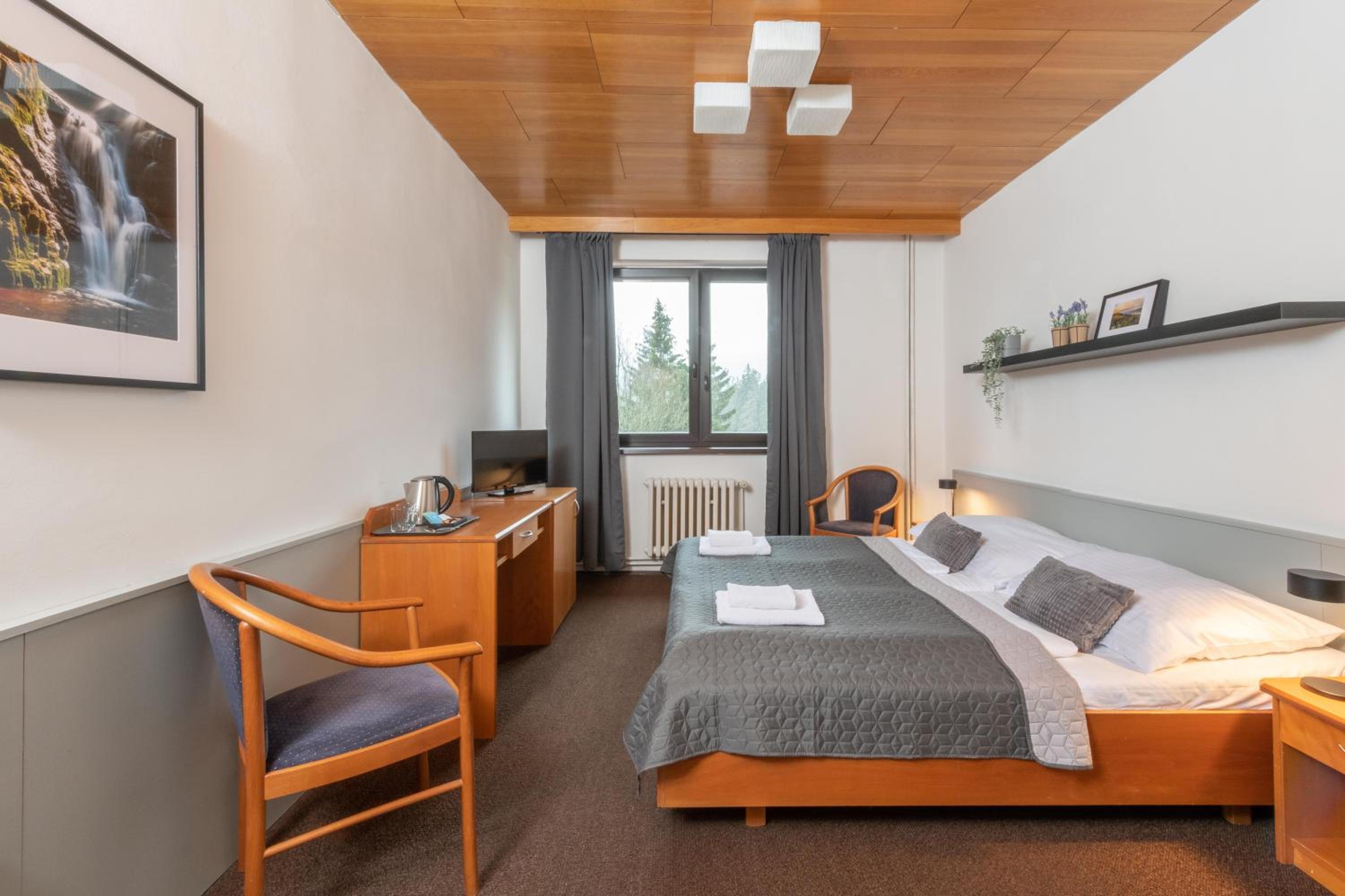Double or Twin Room photo 2
