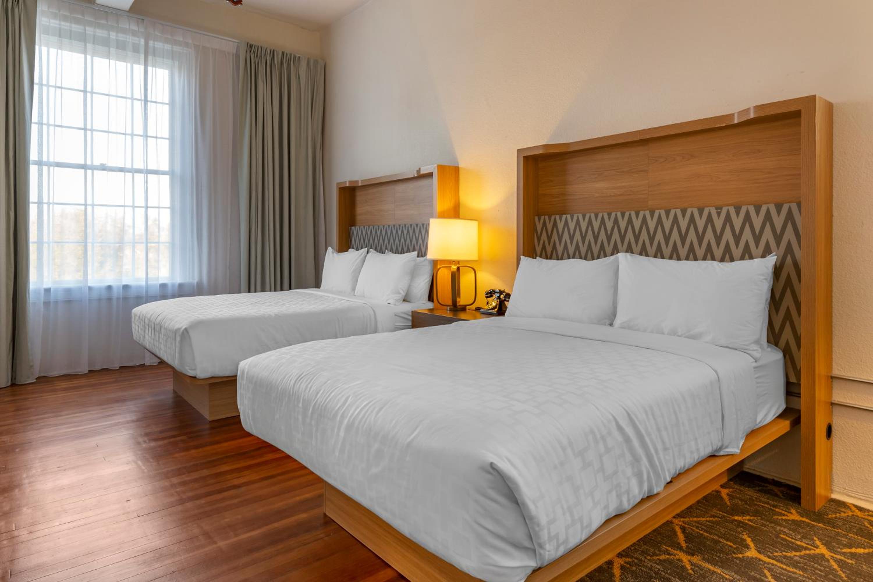 Deluxe Queen Suite - Photo 1