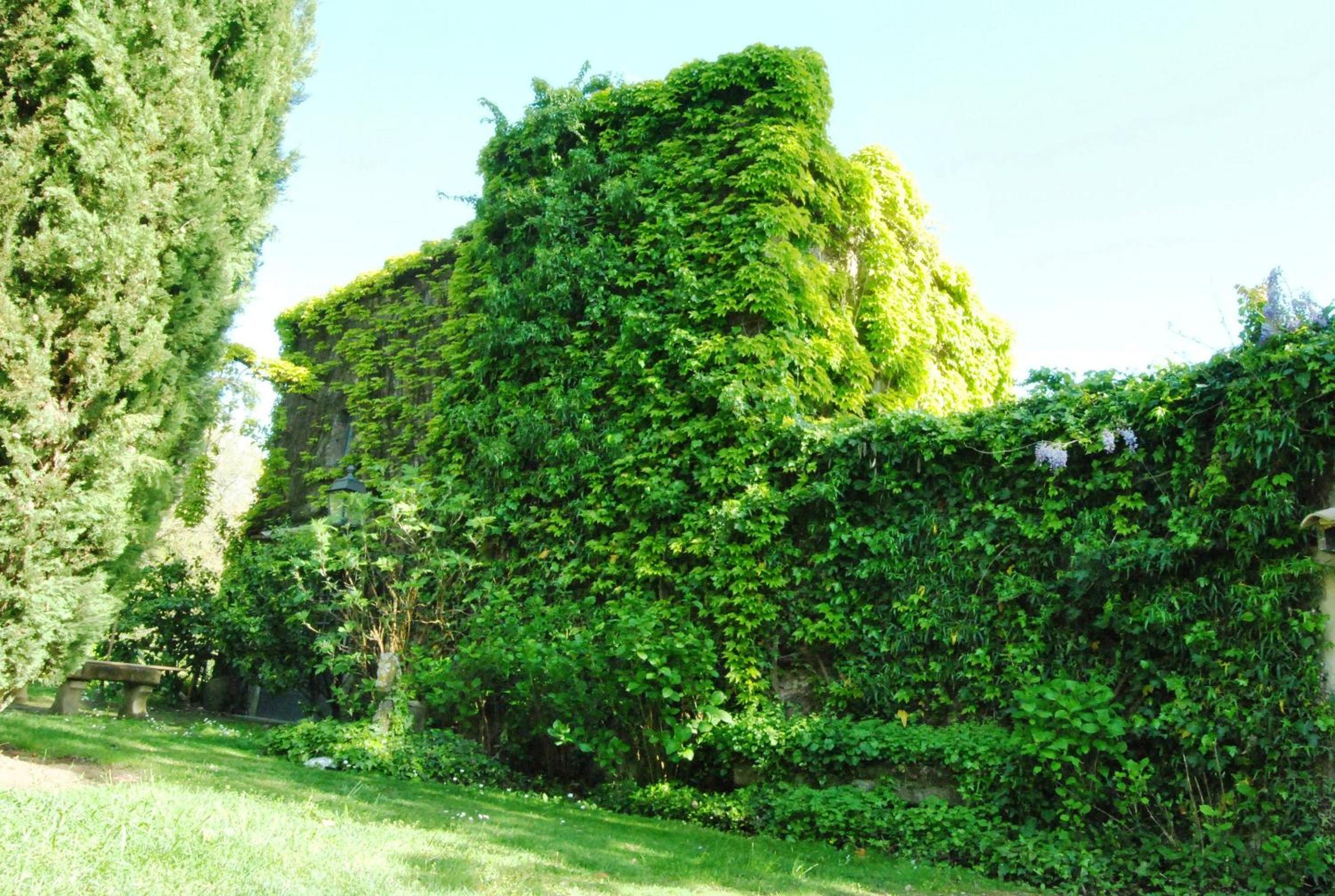 Villa photo 3
