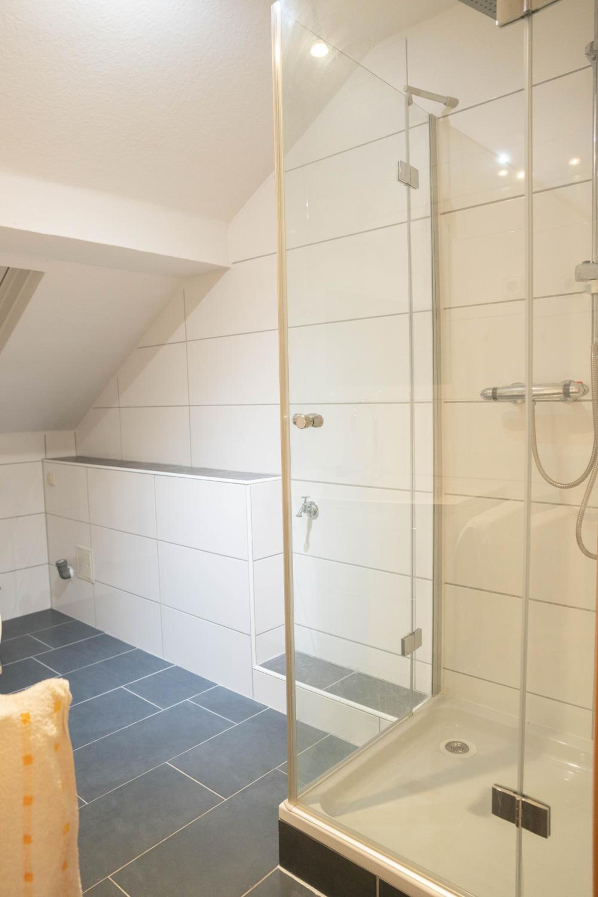 Apartment with Shower photo 2