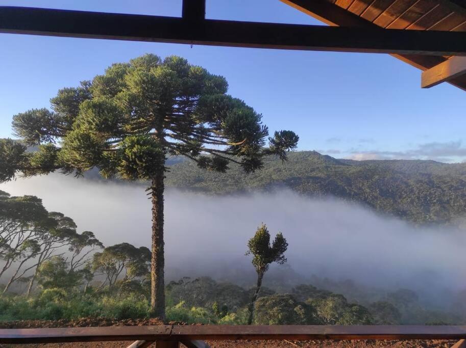 Superior Chalet photo 3