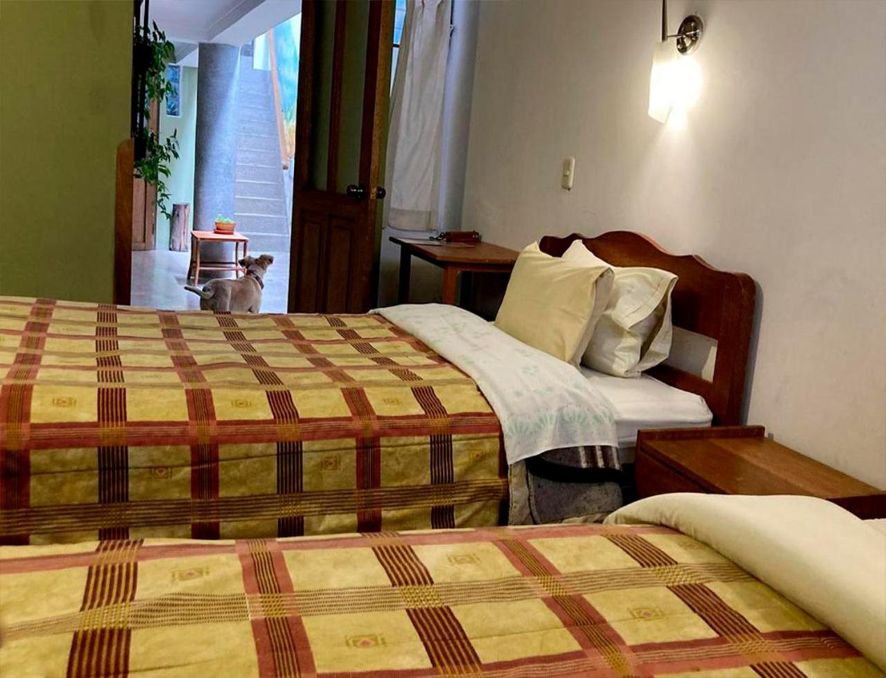 Triple Room photo 2