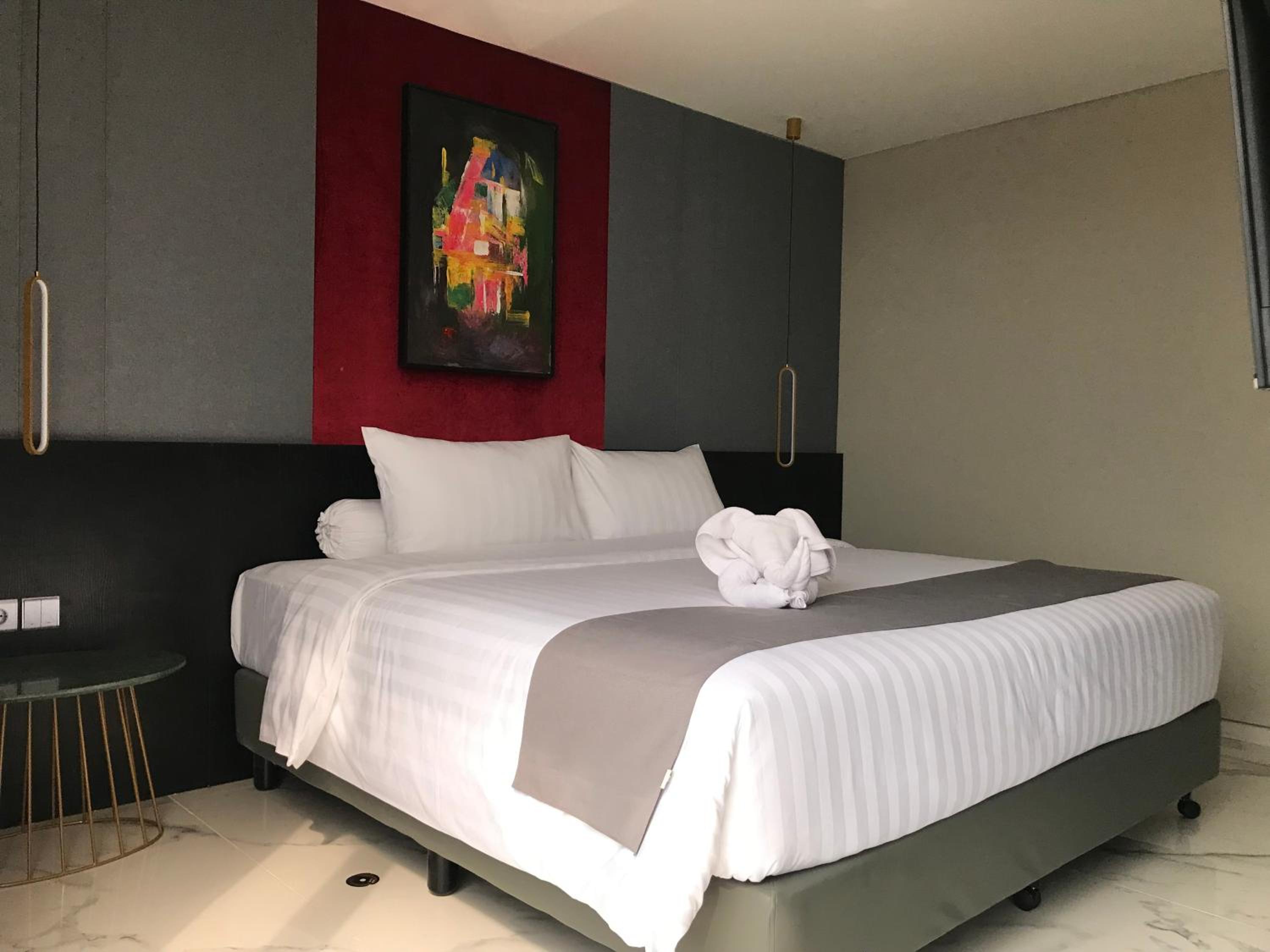 Suite - Photo 1