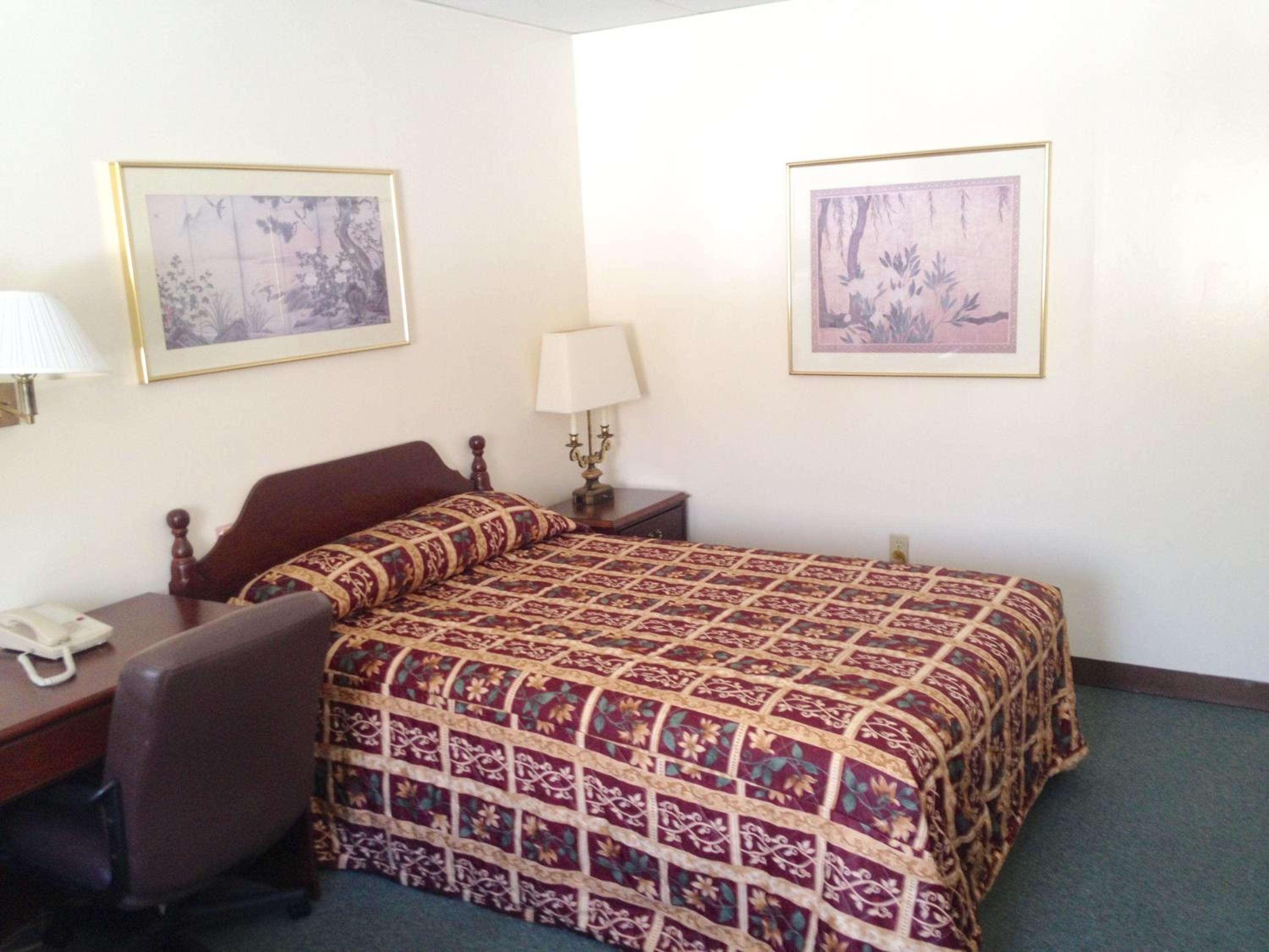 King Room photo 1