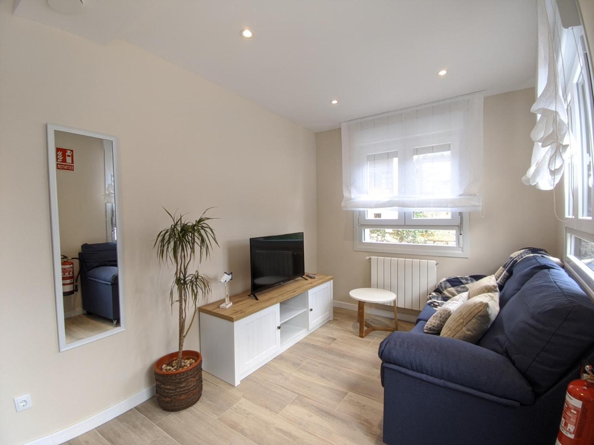 Apartment with Terrace photo 3
