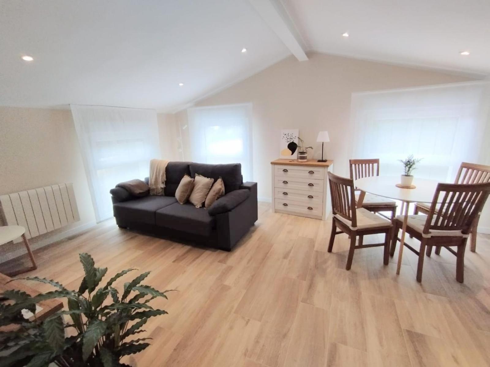Apartamento de una habitación
