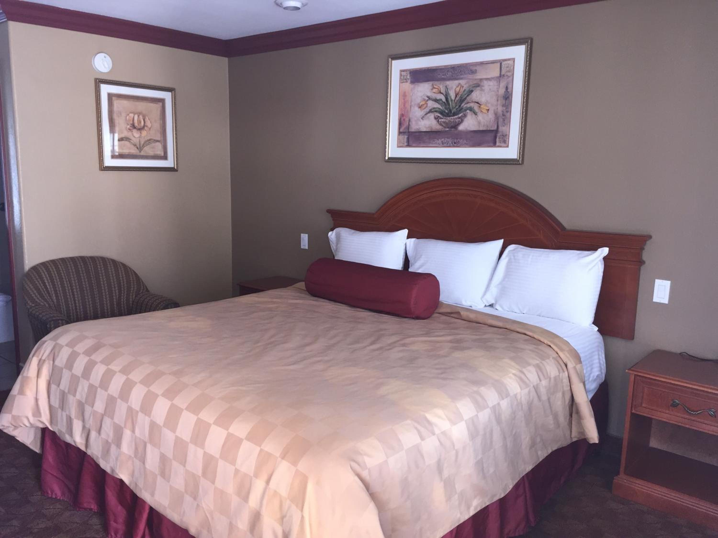 One-Bedroom Suite - Photo 2
