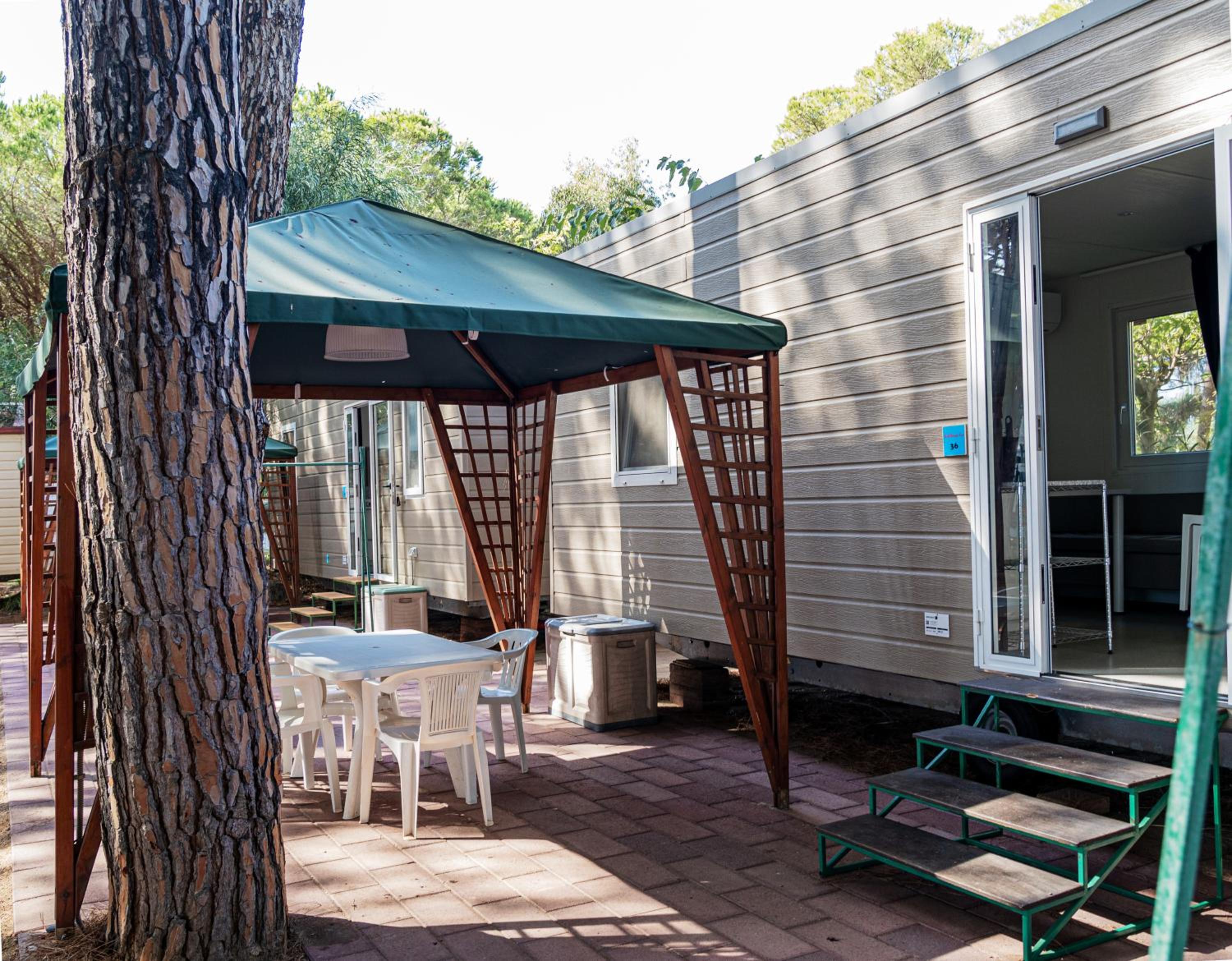Mobile Home photo 2