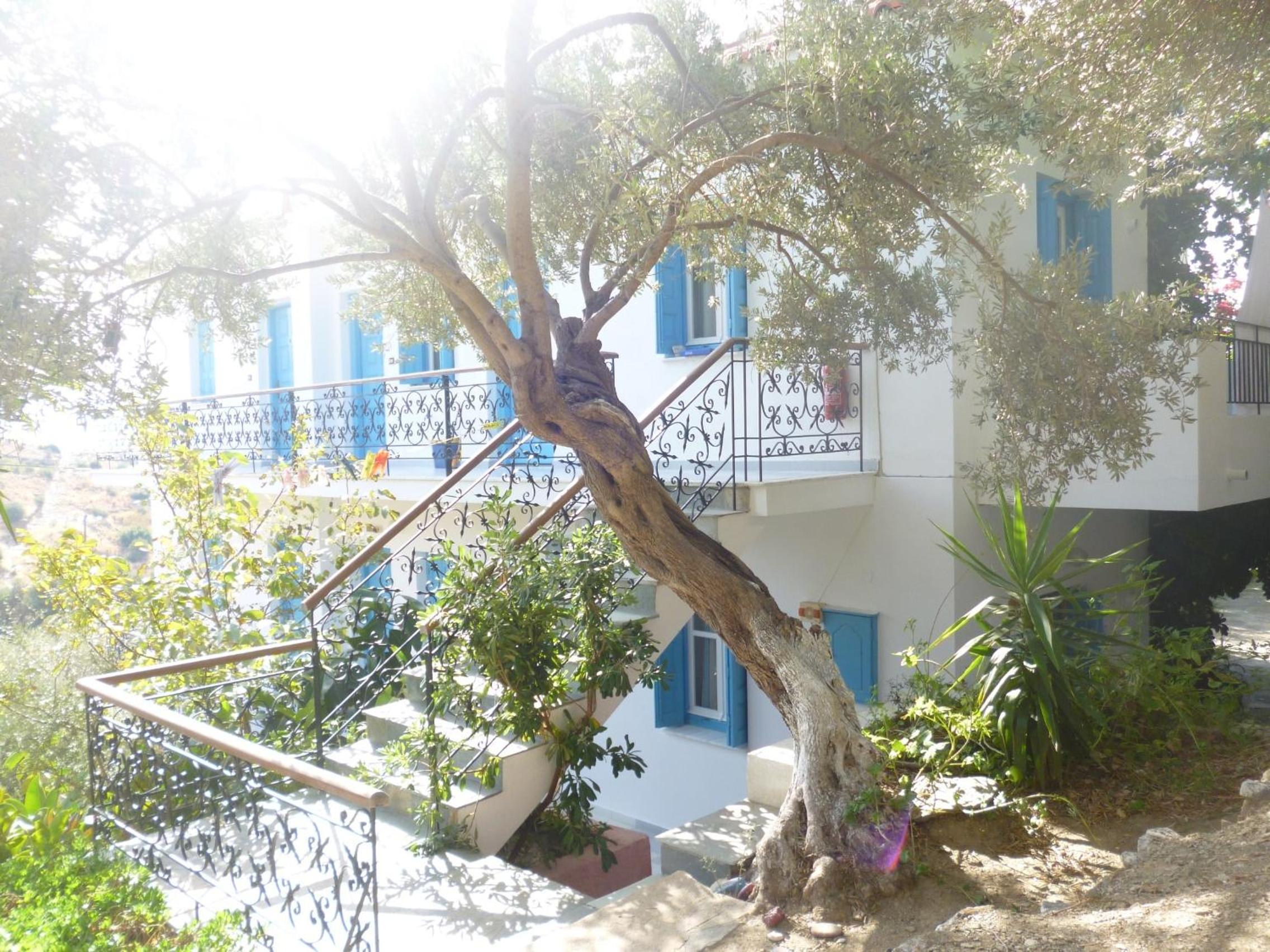 Apartment with Sea View - Photo 5