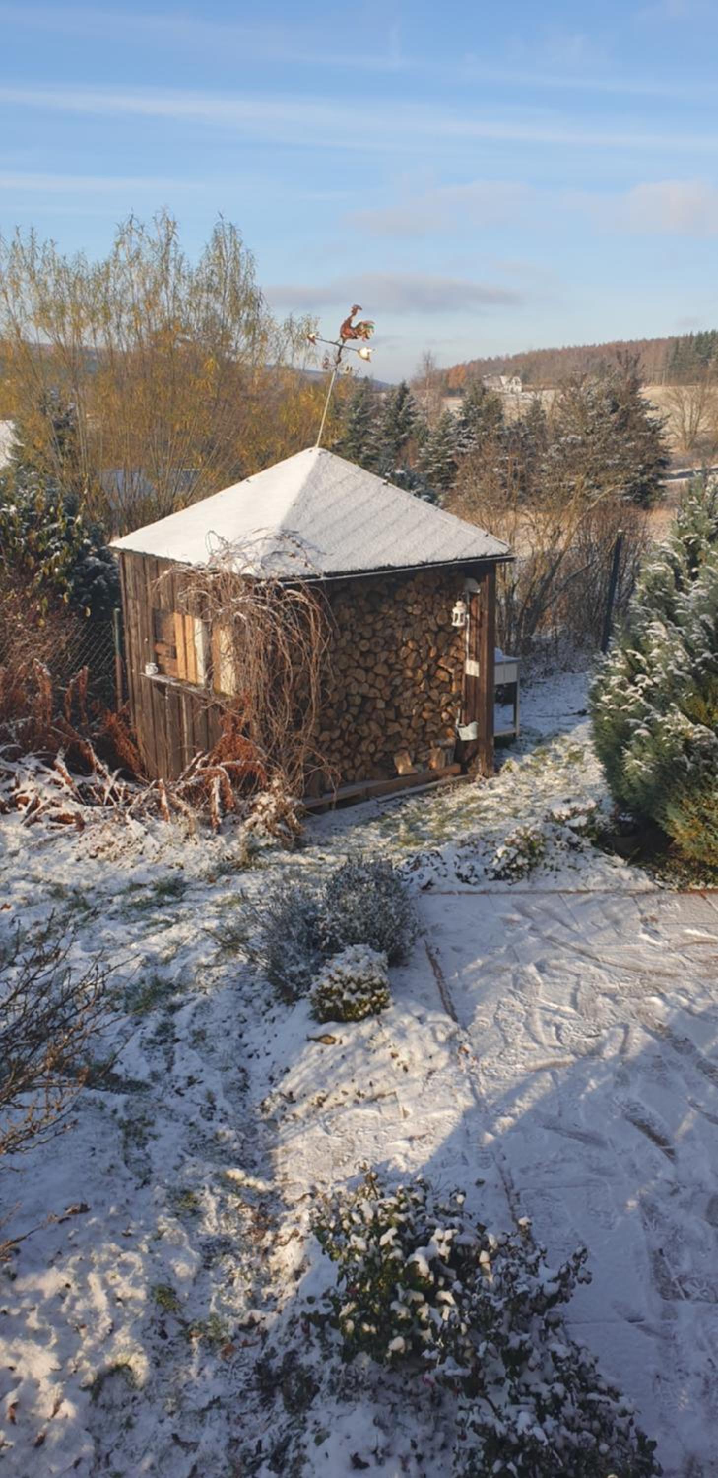 Three-Bedroom Chalet photo 2