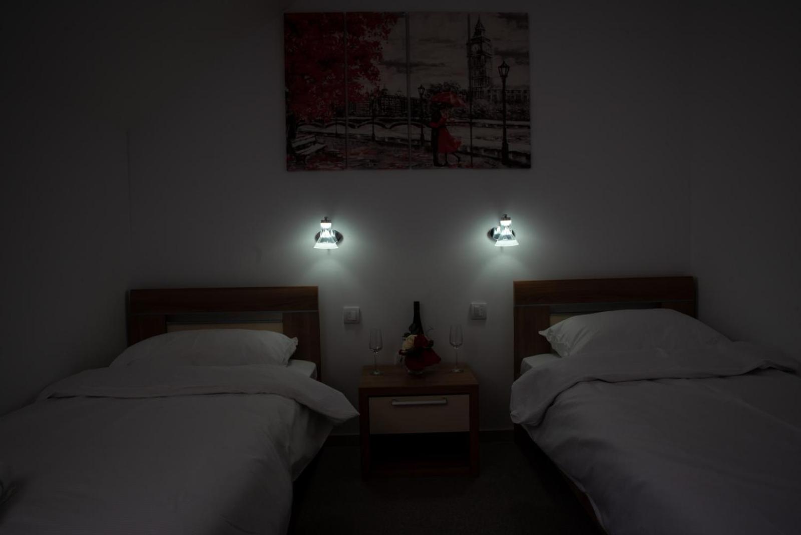 Deluxe Twin Room photo 3