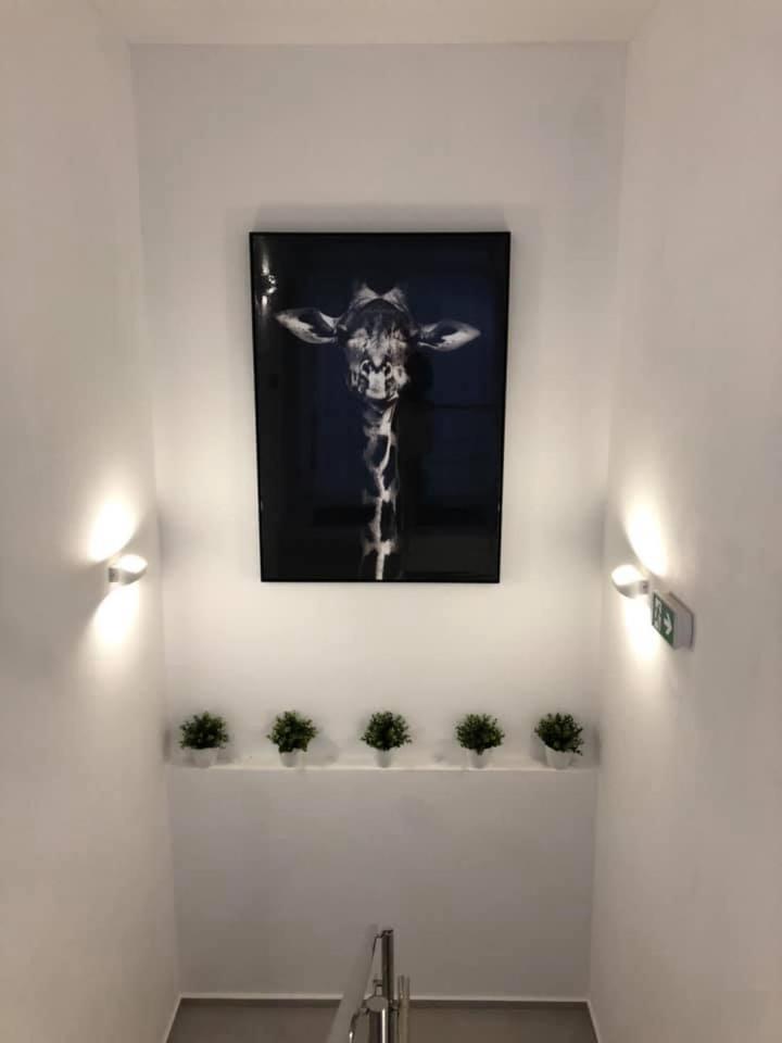 Apartment - Photo 8
