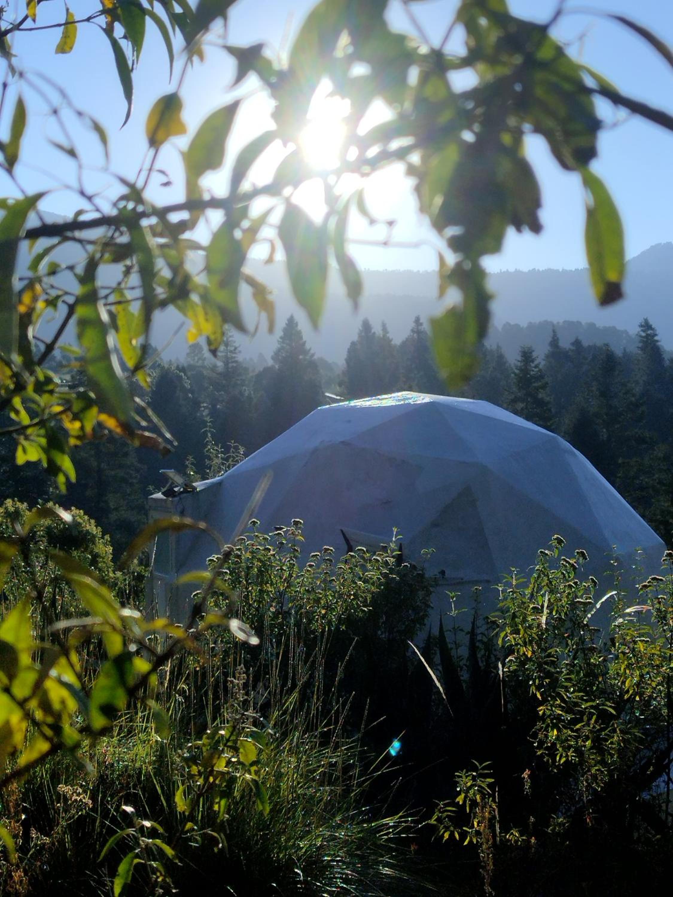 Glamping Panoramic View (4 Adults) photo 3